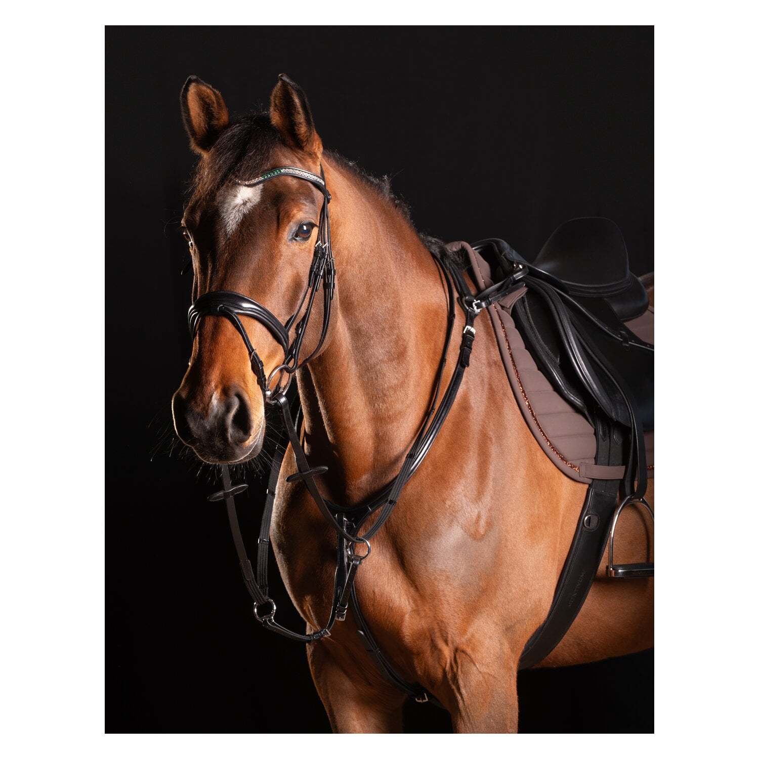 Cheval de Luxe Vorderzeug Dijon &ndash; Ansicht 1