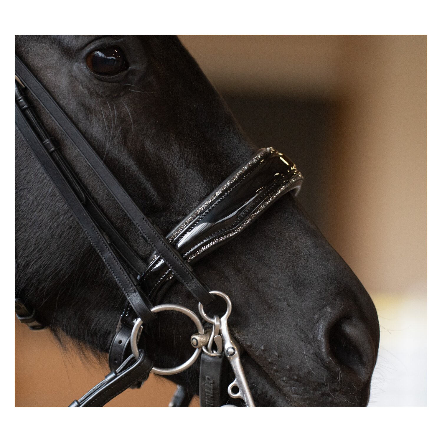 DÖBERT Kandarenzaum Bonn &ndash; Ansicht 3