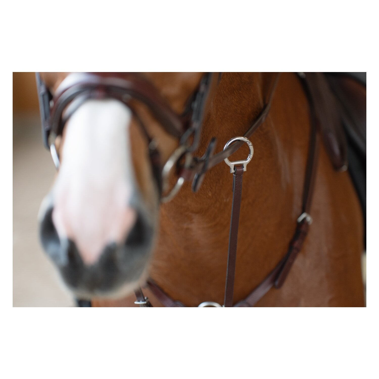 DÖBERT Vorderzeug Nürnberg &ndash; Ansicht 2