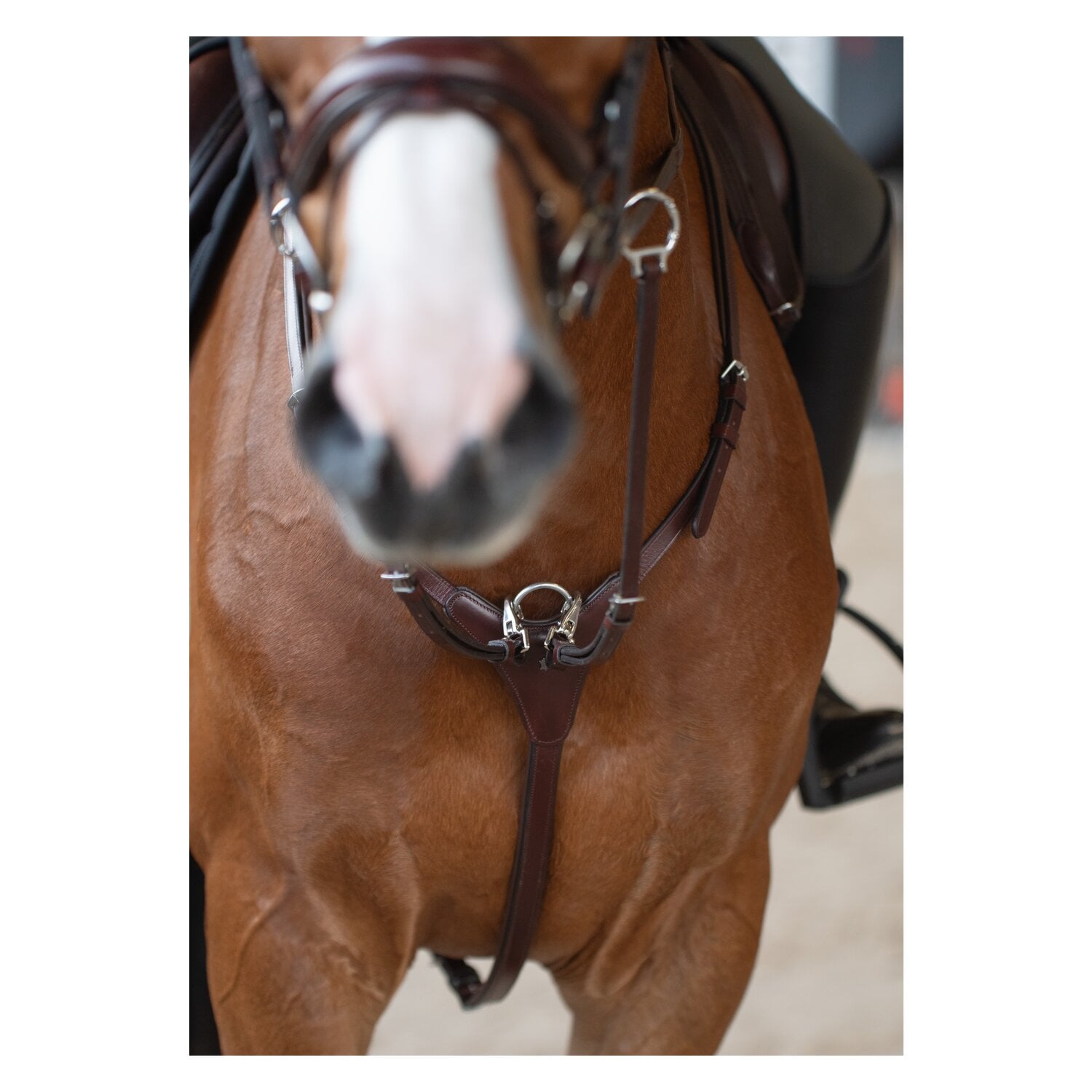 DÖBERT Vorderzeug Nürnberg &ndash; Ansicht 3