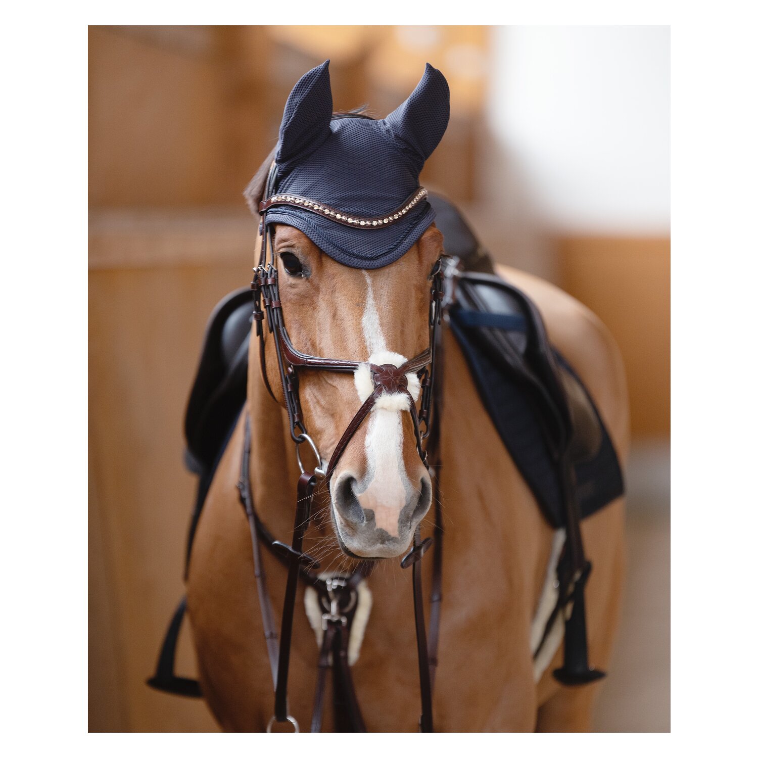 DÖBERT Mexikanisches Reithalfter &ndash; Ansicht 2