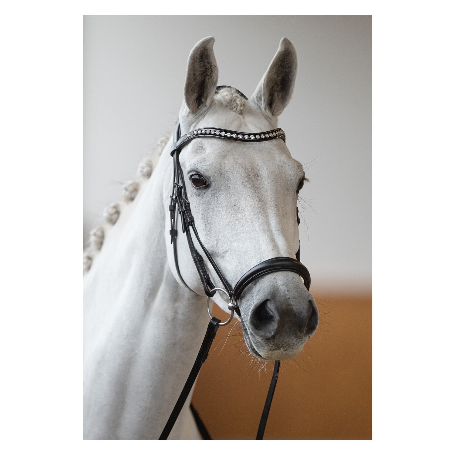 DÖBERT Hannoversches Reithalfter &ndash; Ansicht 2