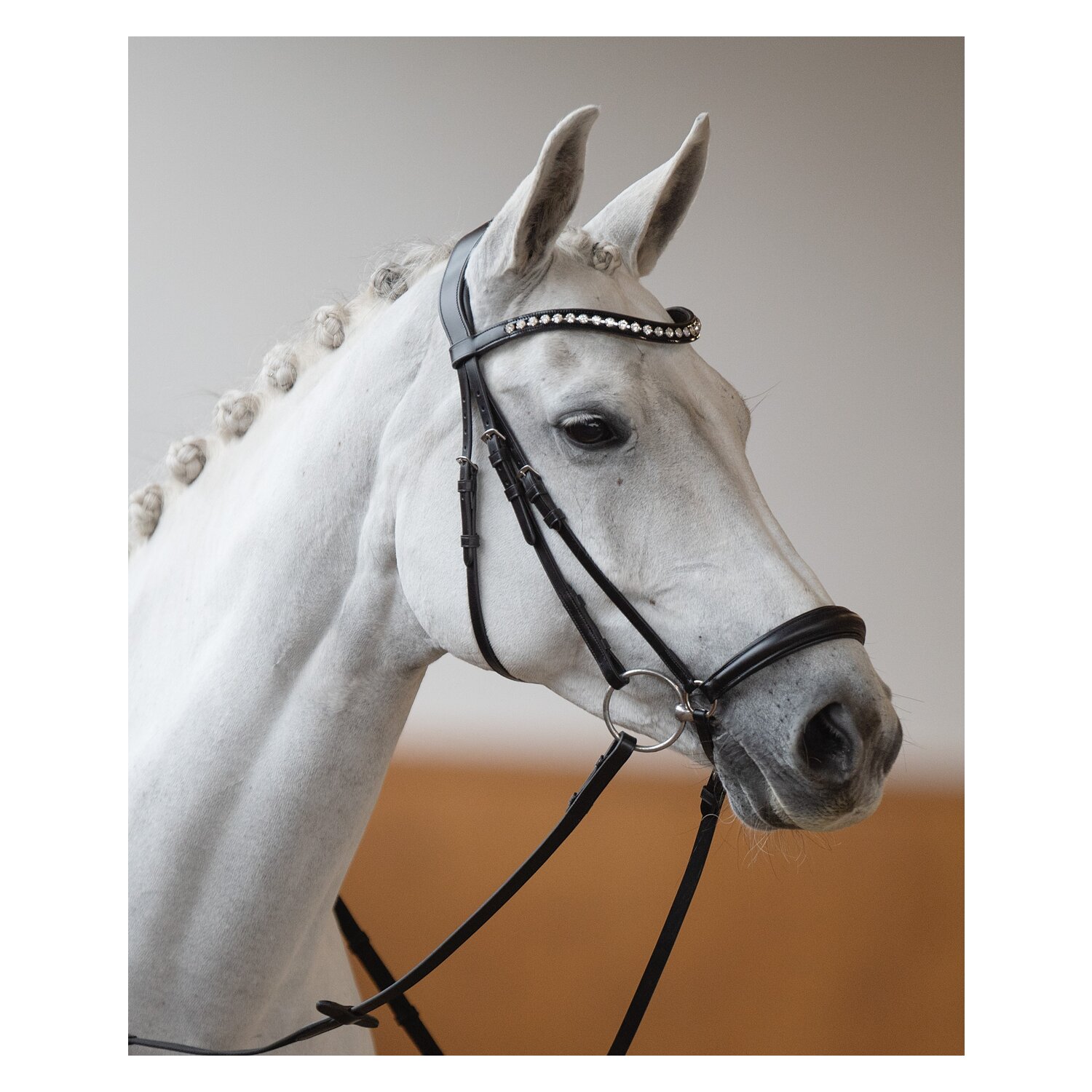 DÖBERT Hannoversches Reithalfter &ndash; Ansicht 1