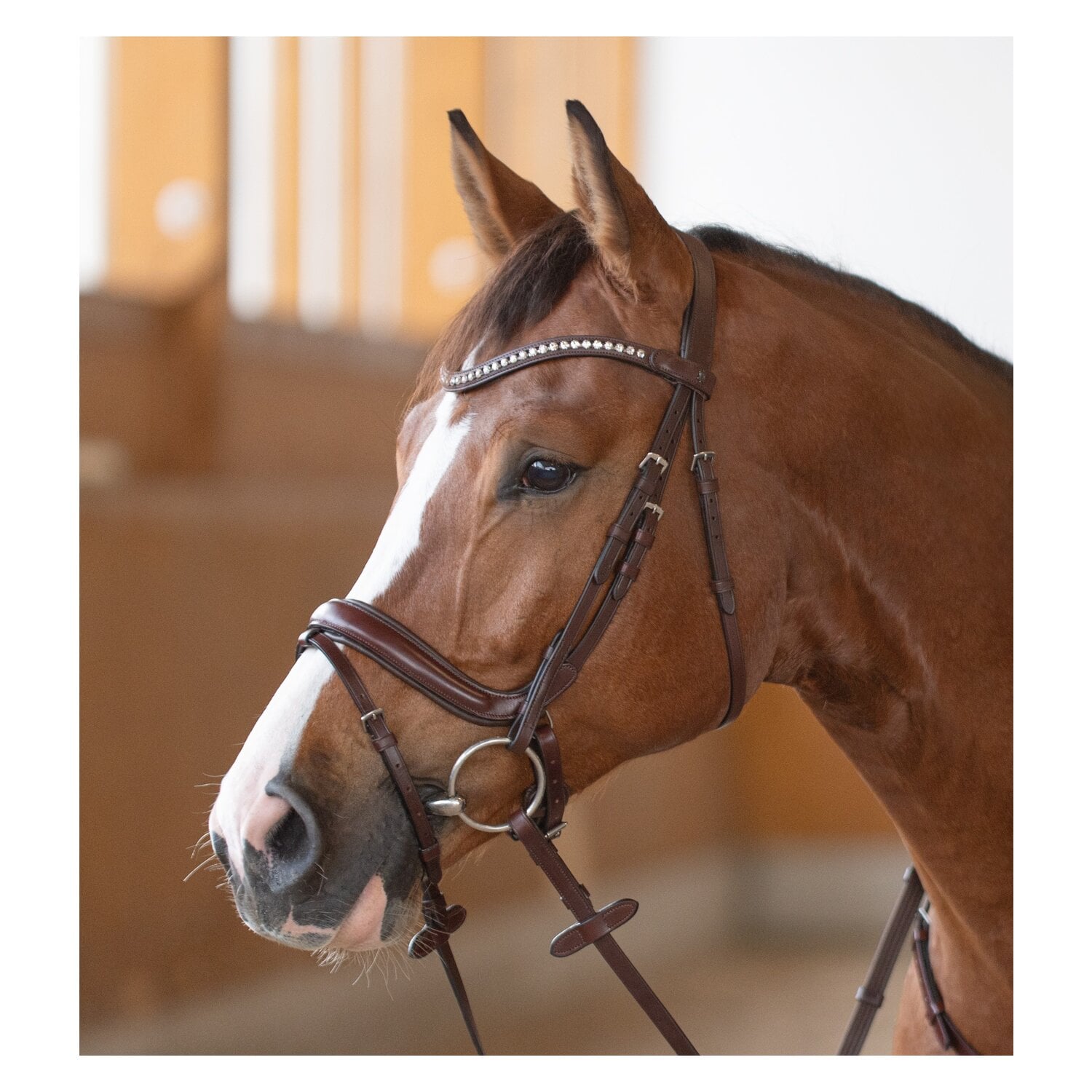 DÖBERT Anatomisches Reithalfter &ndash; Ansicht 1