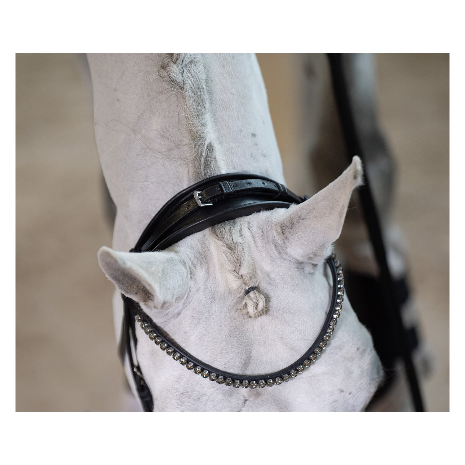 DÖBERT Trensenzaum Bonn Premium &ndash; Ansicht 3