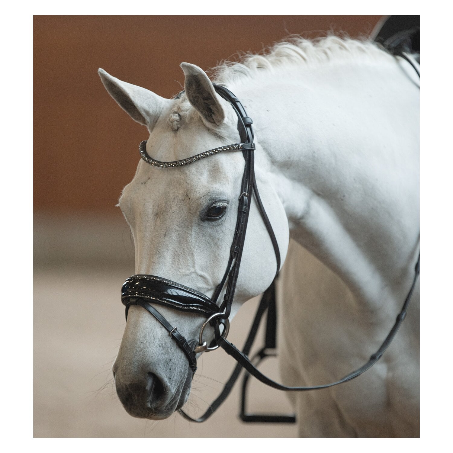 DÖBERT Trensenzaum Bonn Premium &ndash; Ansicht 1