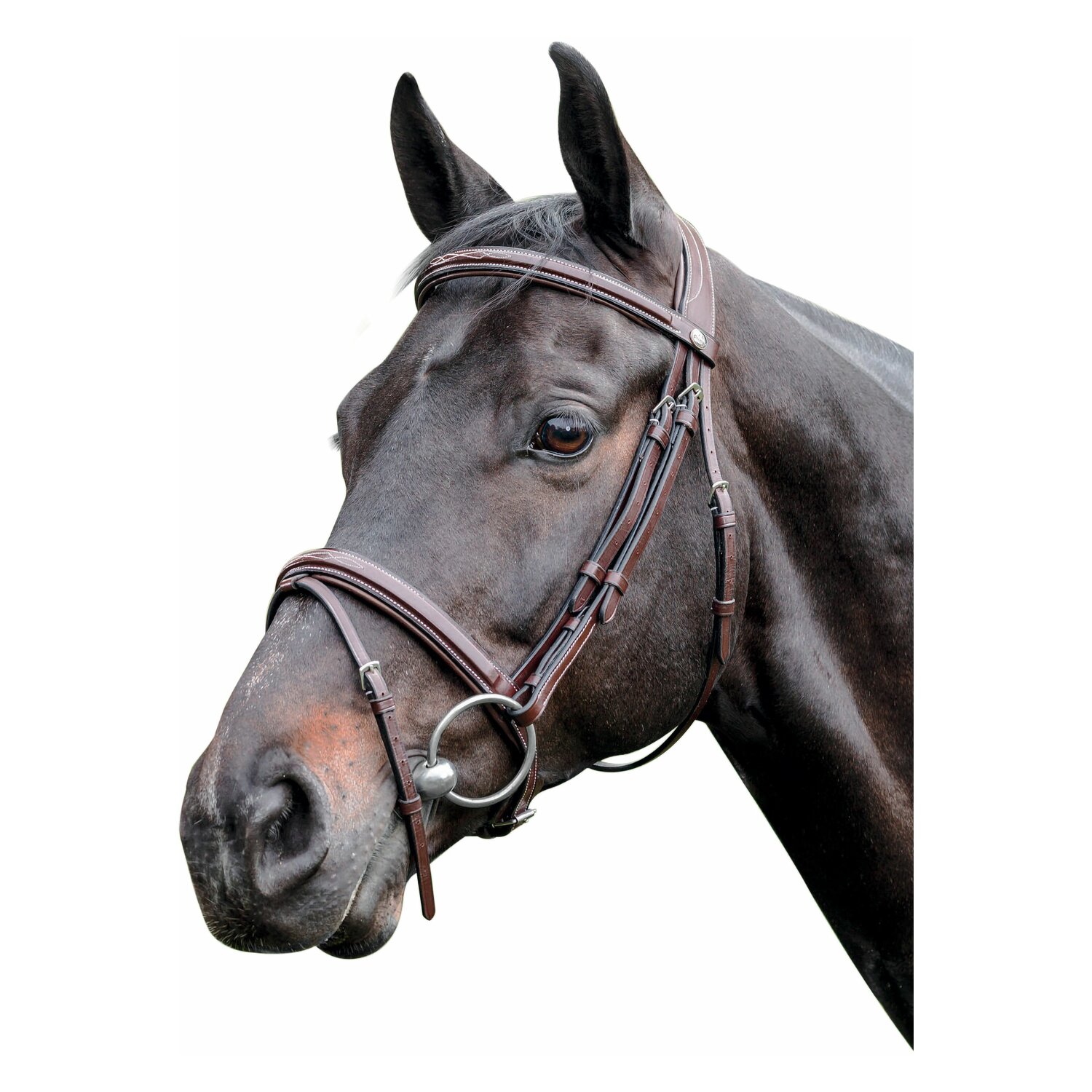 PRESTIGE Bombierte Trense – Ansicht 1