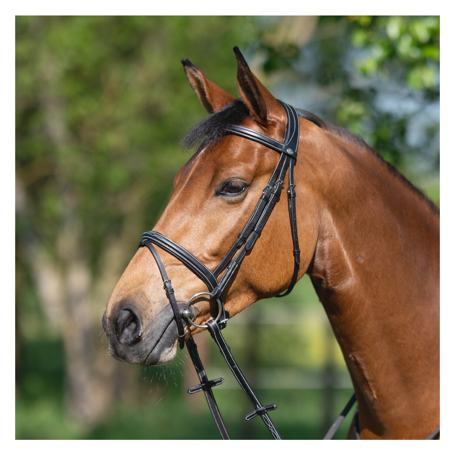 PRESTIGE Bombierte Trense – Ansicht 2