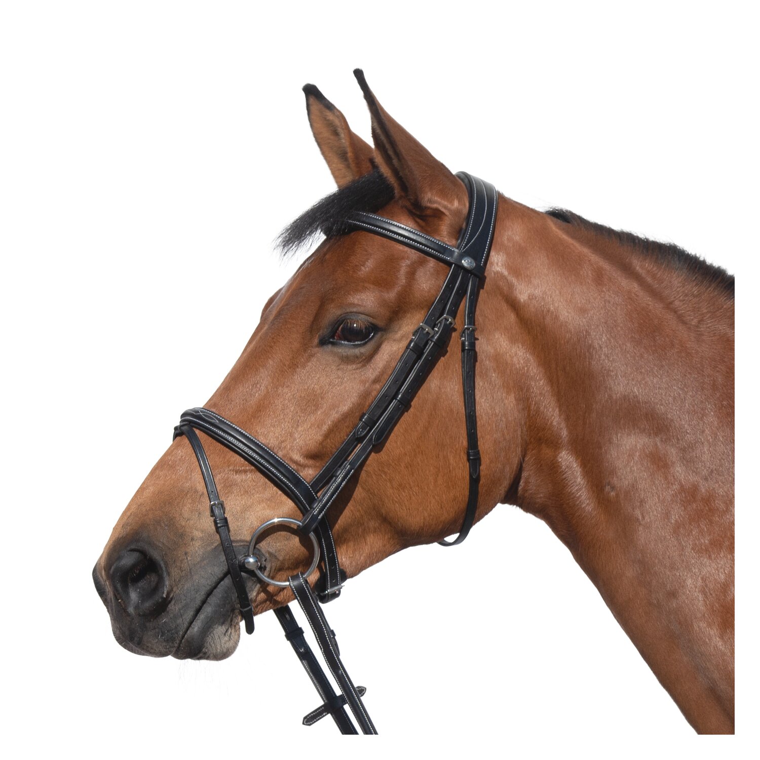 PRESTIGE Bombierte Trense – Ansicht 1