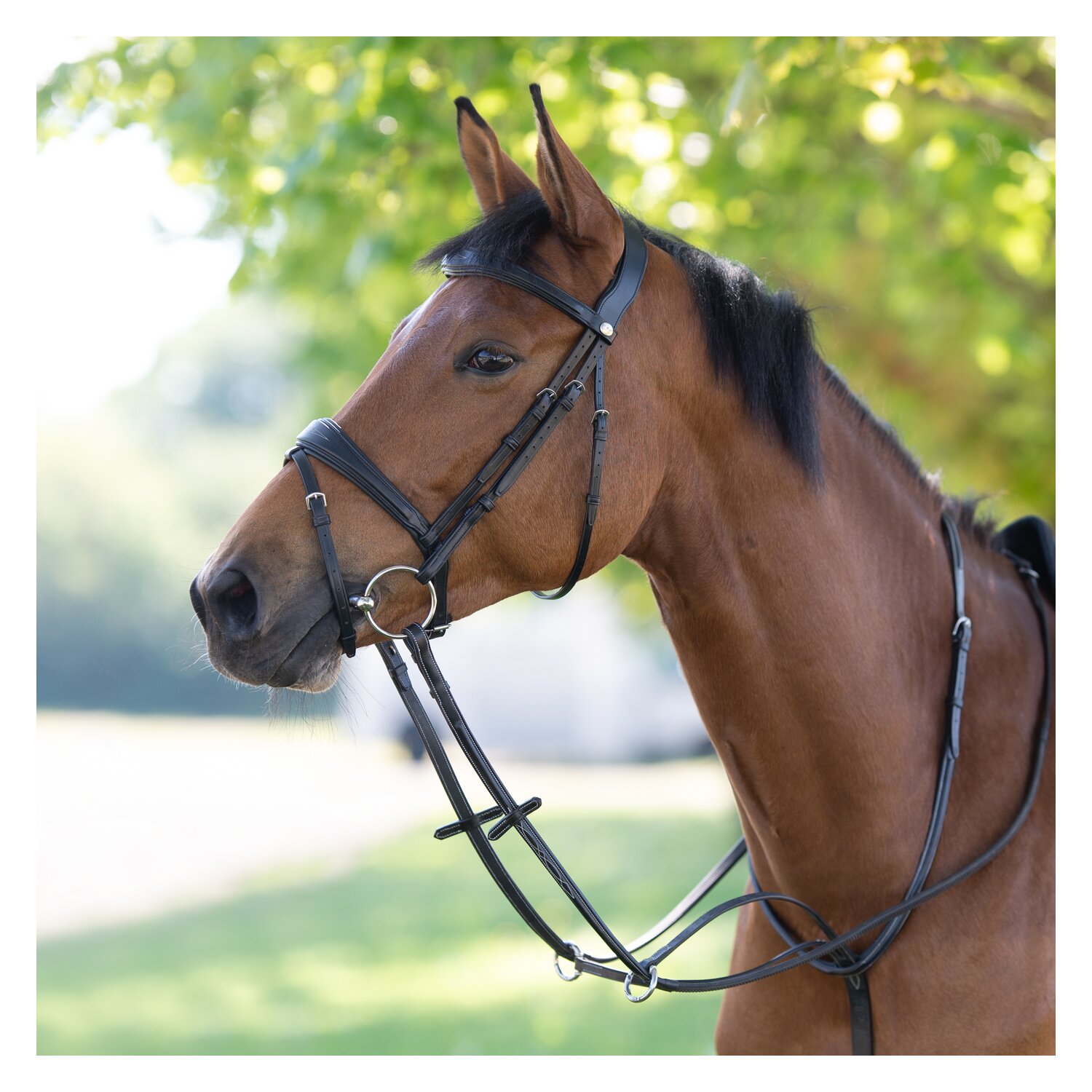 PRESTIGE Englische Trense – Ansicht 2