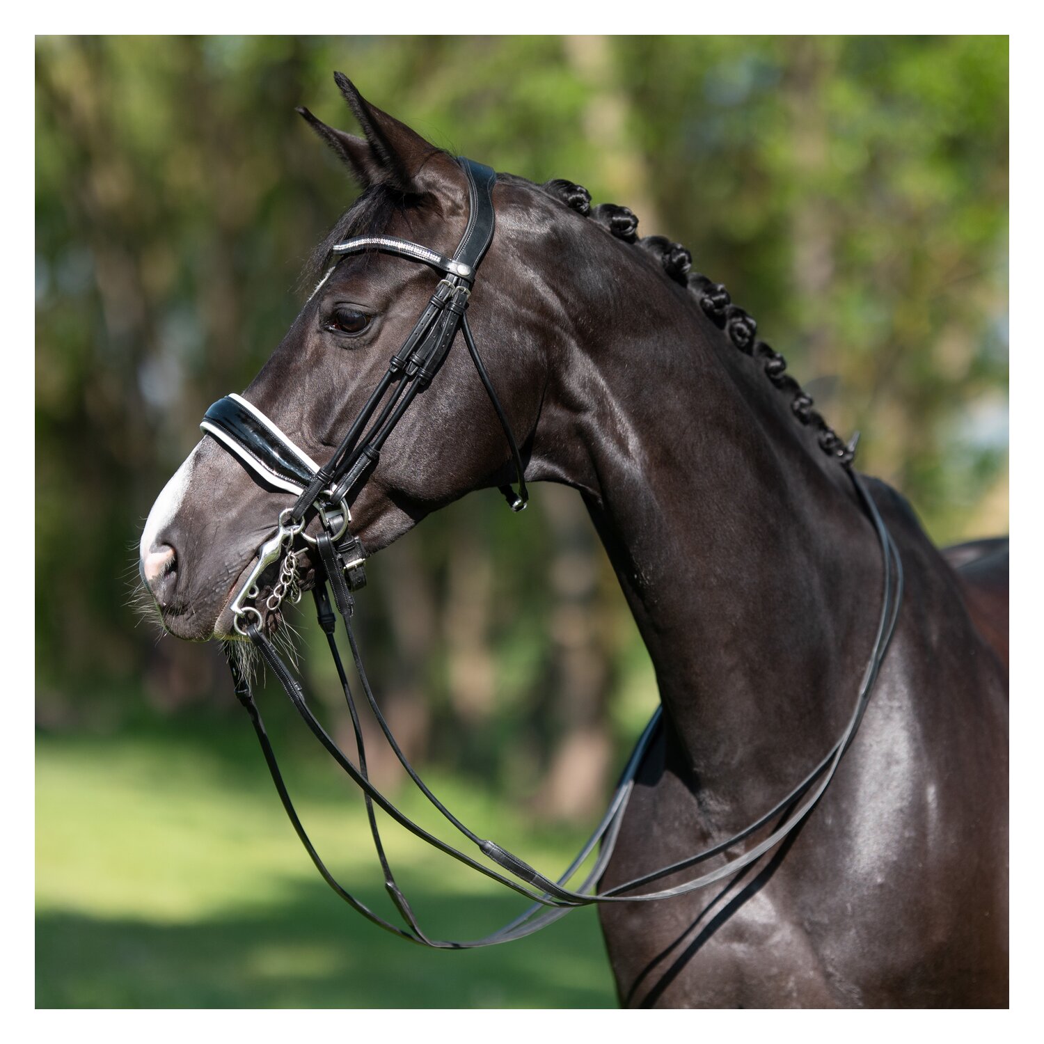 PRESTIGE Dressurkandare – Ansicht 3