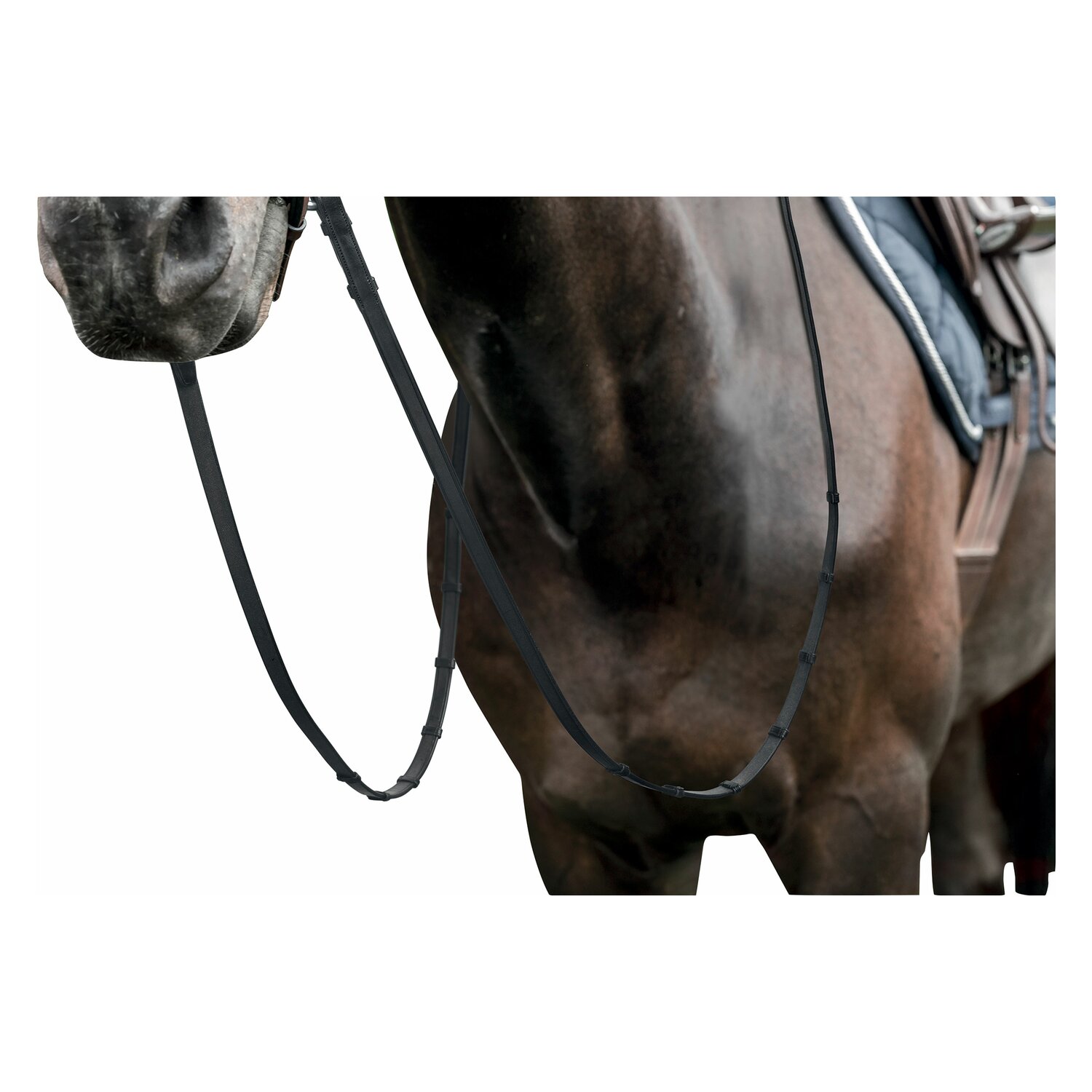 PRESTIGE Dressurzügel – Ansicht 2