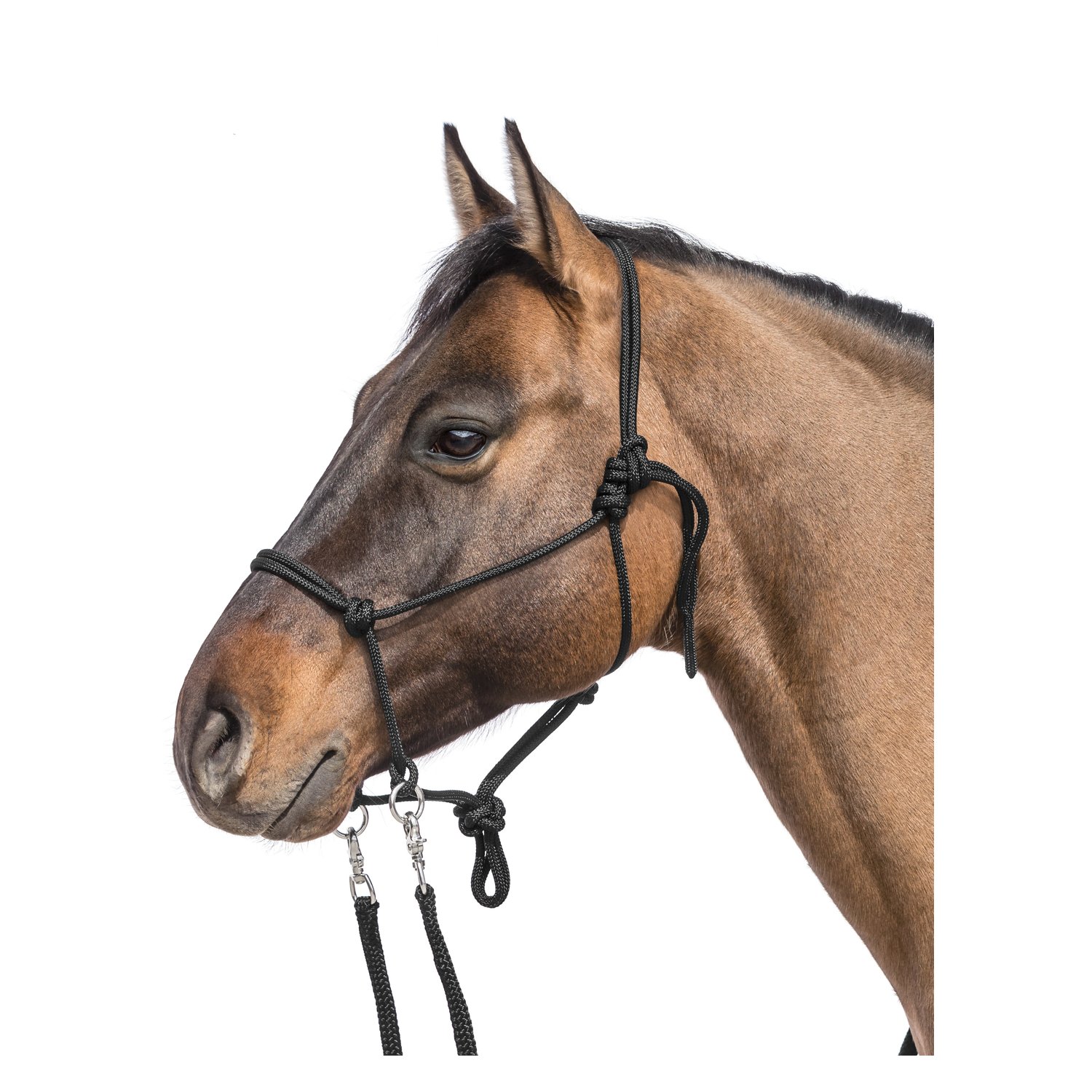 L-pro West Knotenhalfter mit Zügel – Ansicht 1
