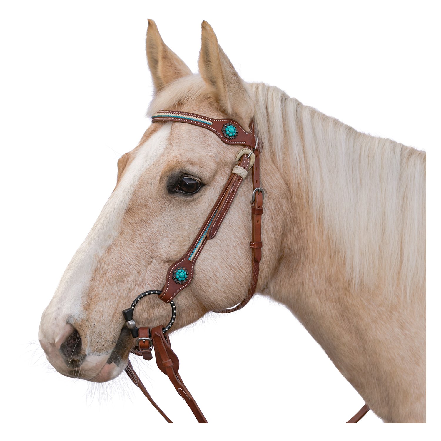 L-pro West Westerntrense Nashville – Ansicht 1
