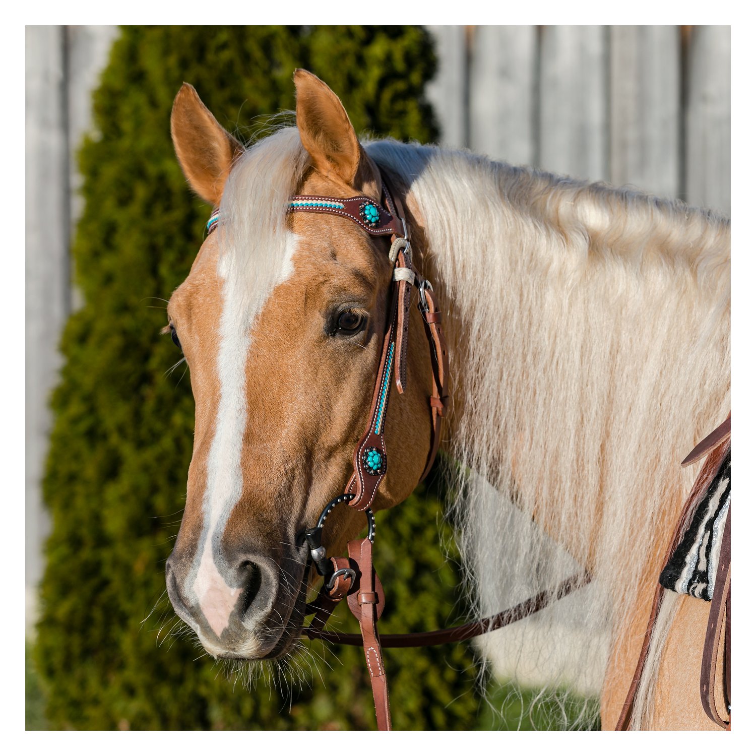 L-pro West Westerntrense Nashville – Ansicht 2