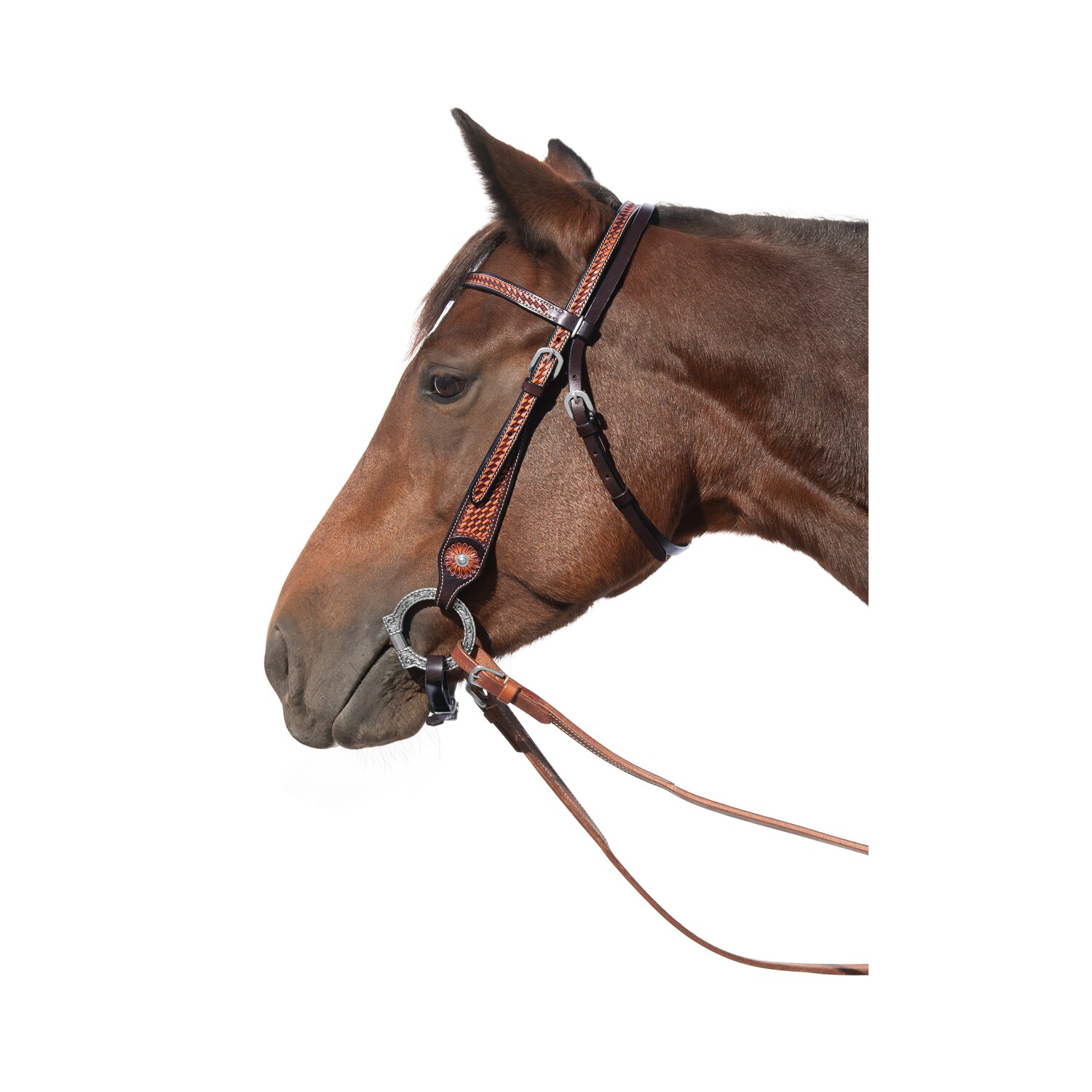 L-pro West Westerntrense – Ansicht 1