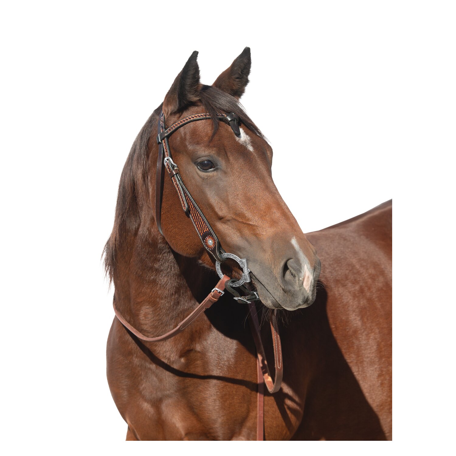 L-pro West Westerntrense – Ansicht 2