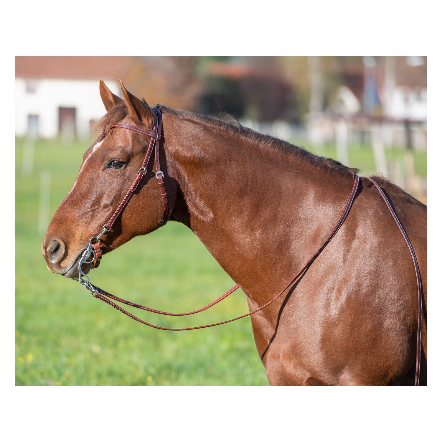 L-pro West Westerntrense – Ansicht 2