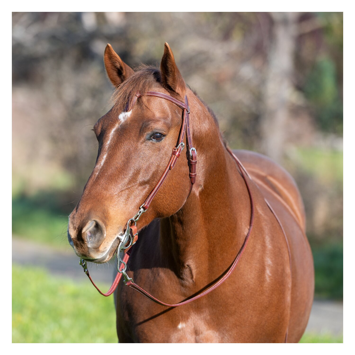 L-pro West Westerntrense – Ansicht 3