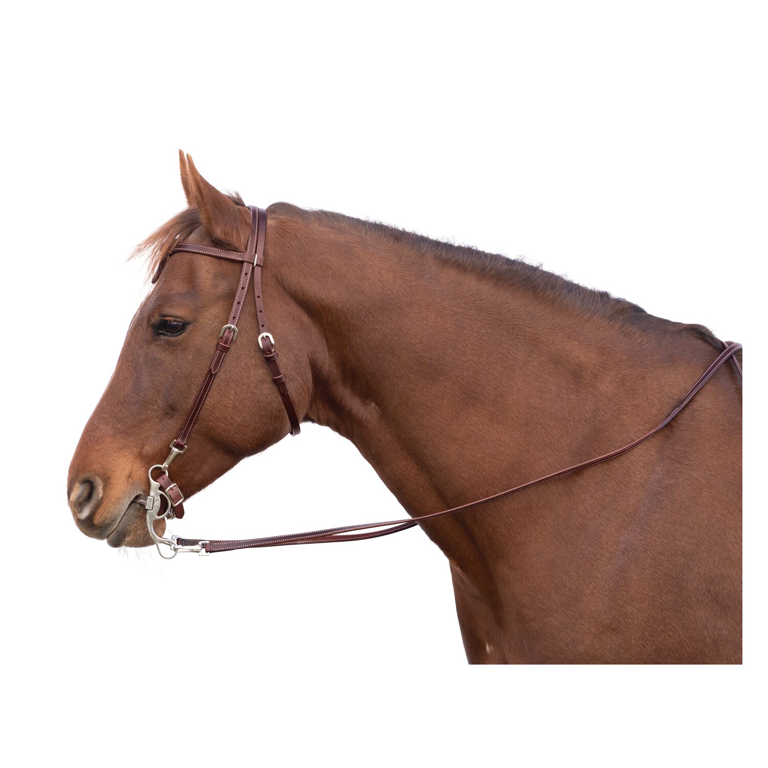 L-pro West Westerntrense – Ansicht 1