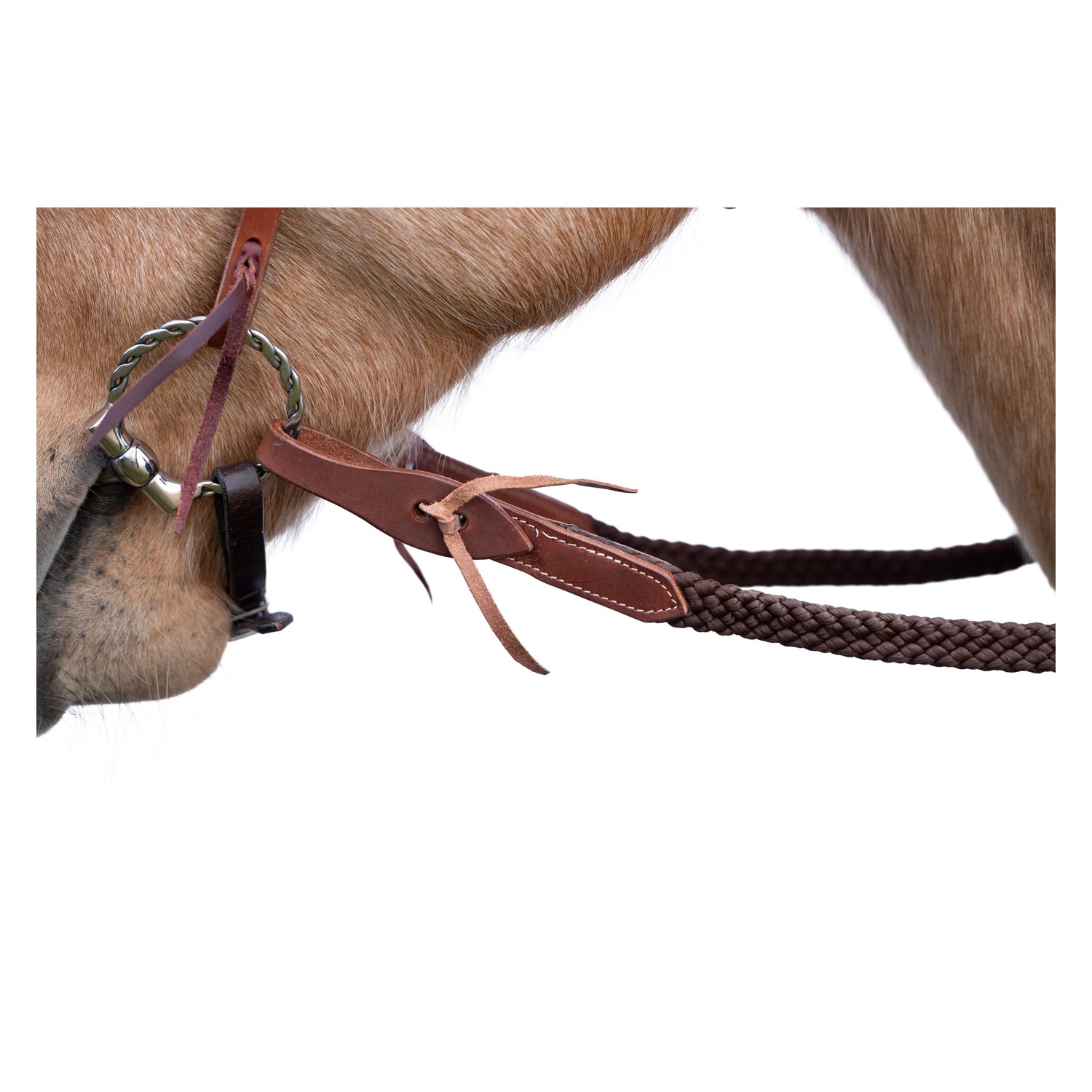 L-pro West Westernzügel – Ansicht 2