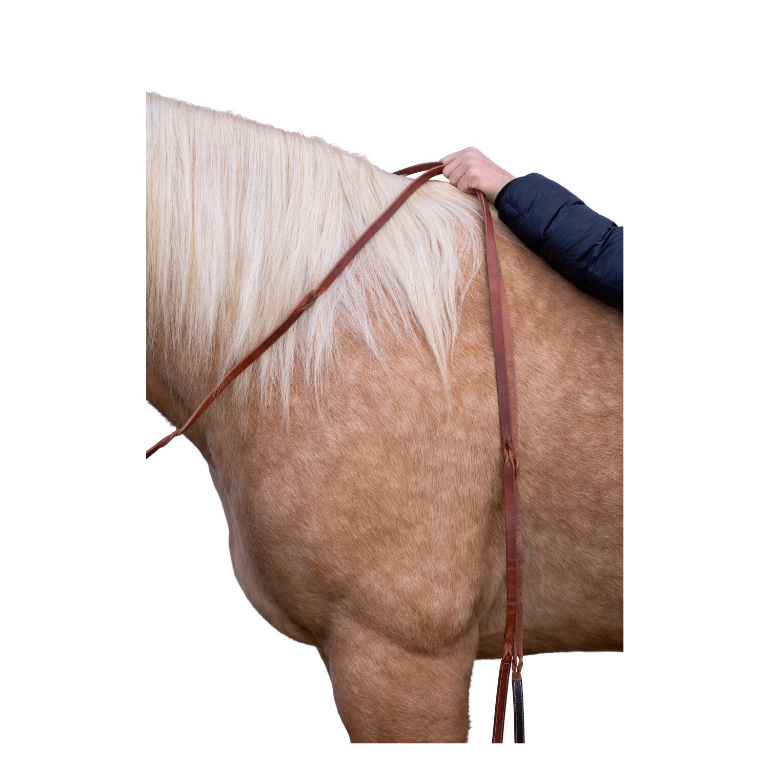 L-pro West Westernzügel – Ansicht 2