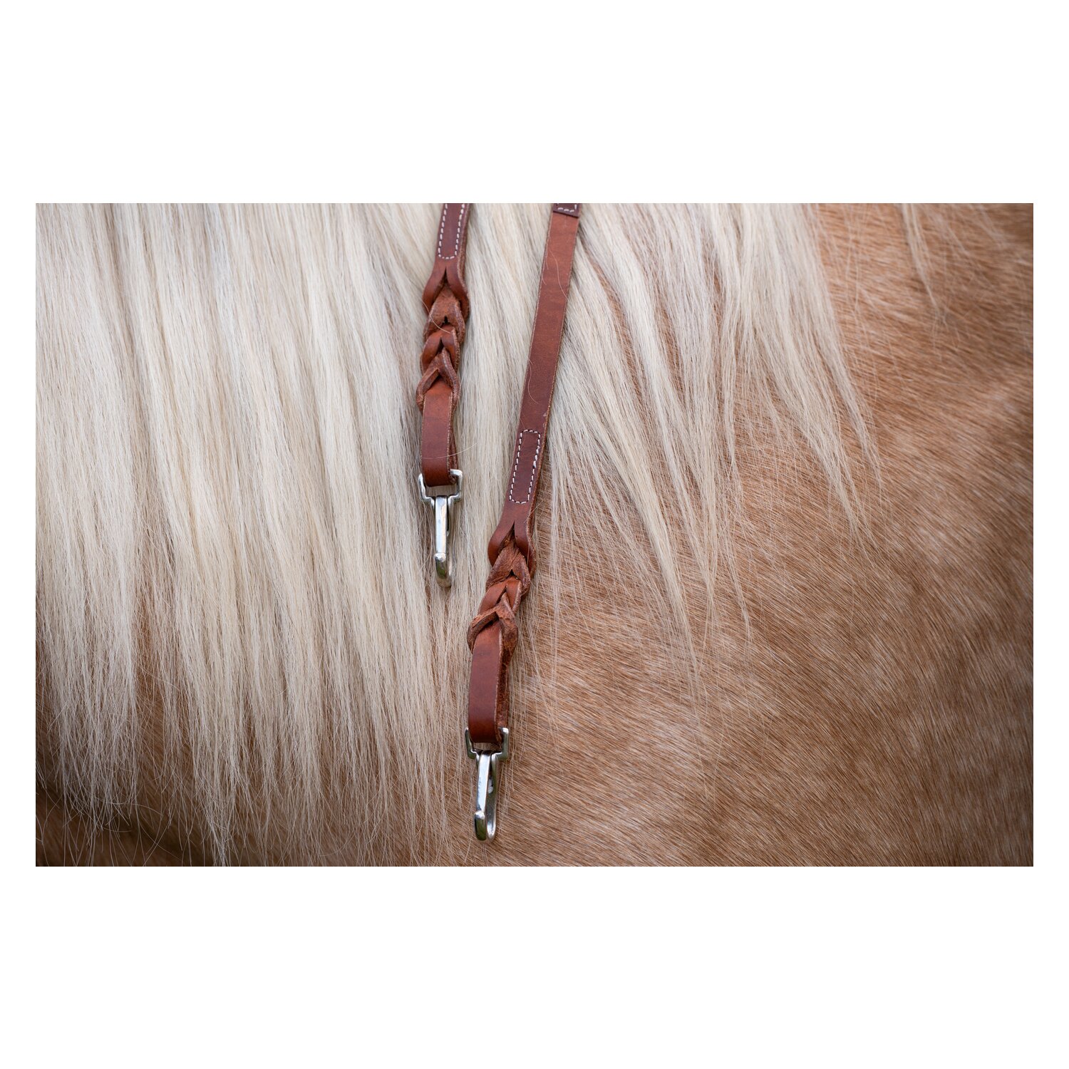 L-pro West Westernzügel – Ansicht 4