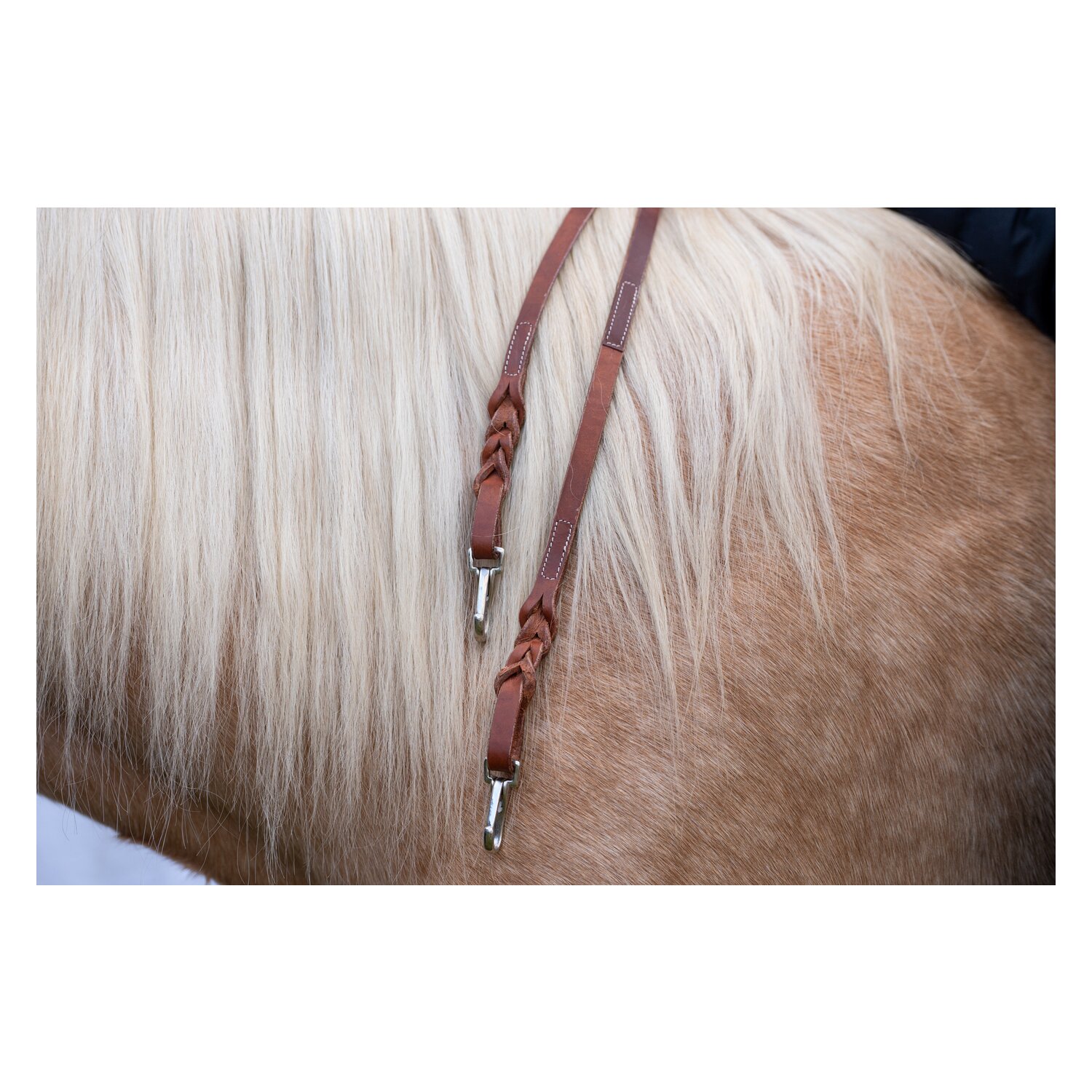 L-pro West Westernzügel – Ansicht 3