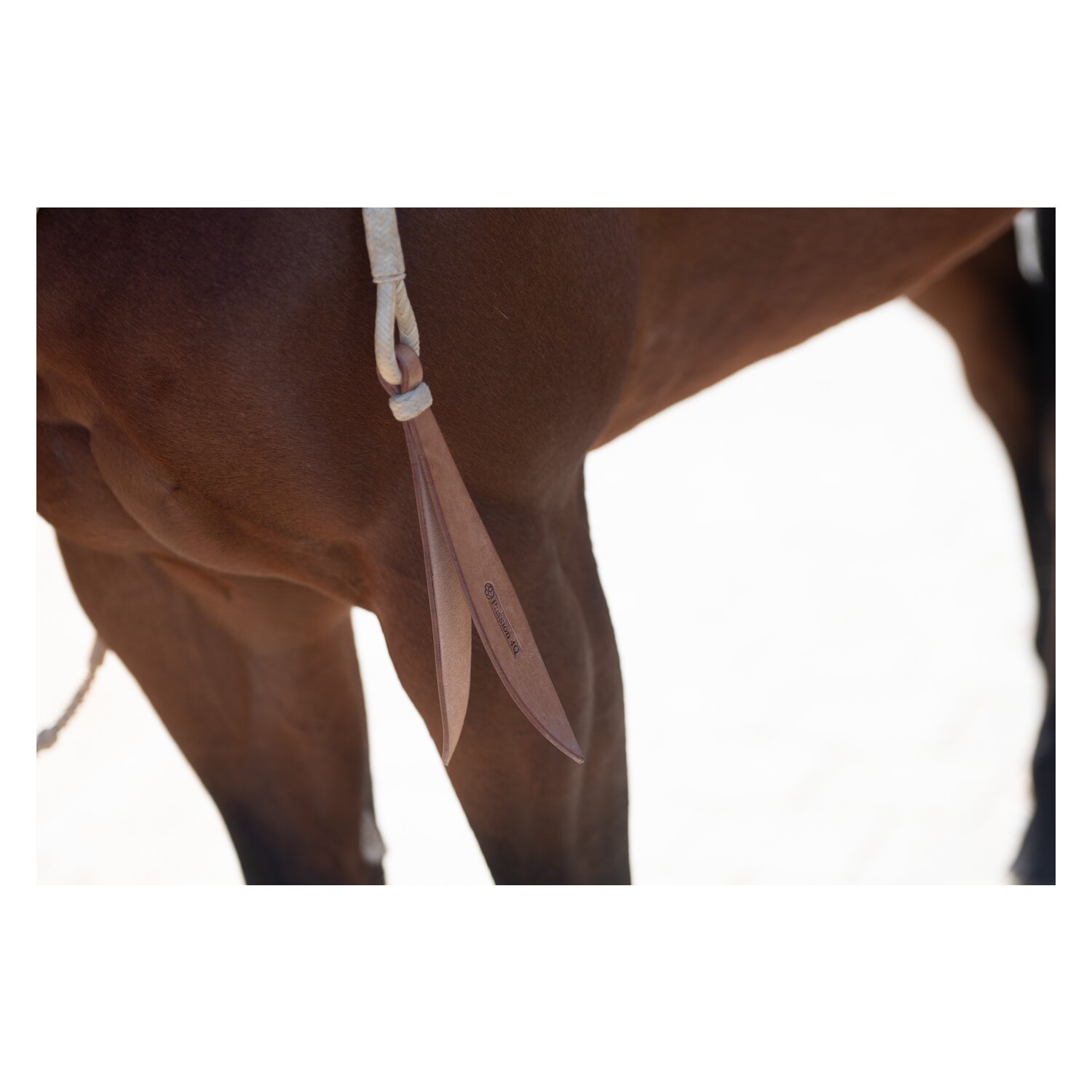 Passion 4Q Westernzügel Romal Reins Rawhide – Ansicht 5