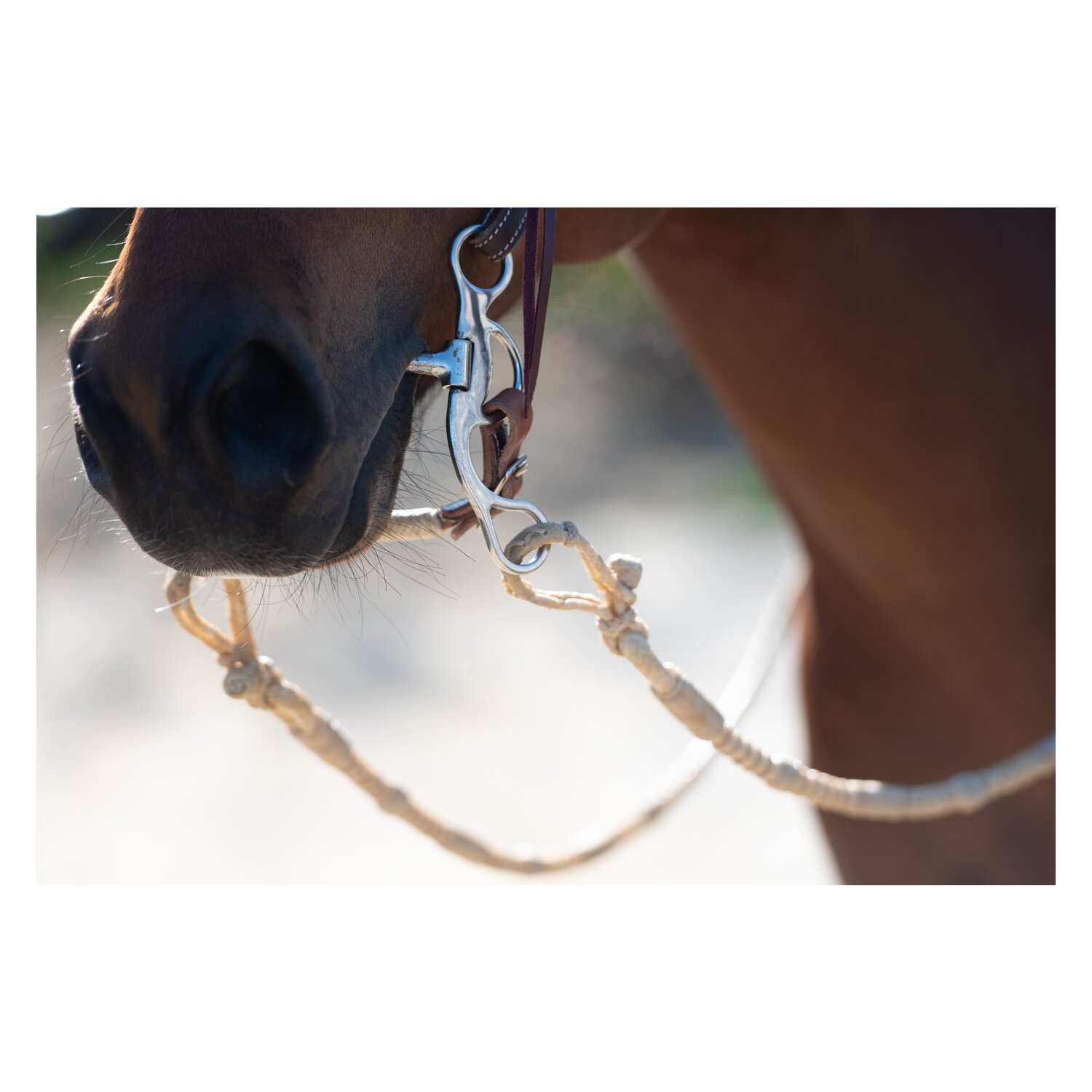 Passion 4Q Westernzügel Romal Reins Rawhide – Ansicht 6