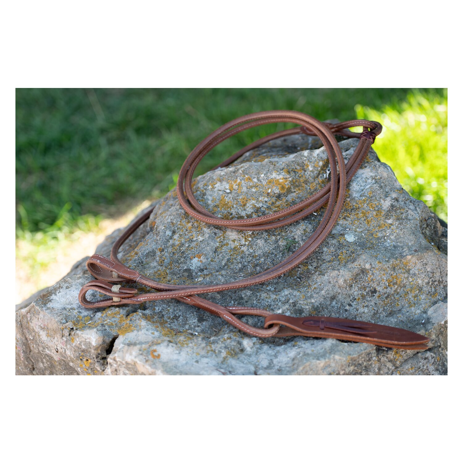 Passion 4Q Romal Reins – Ansicht 2