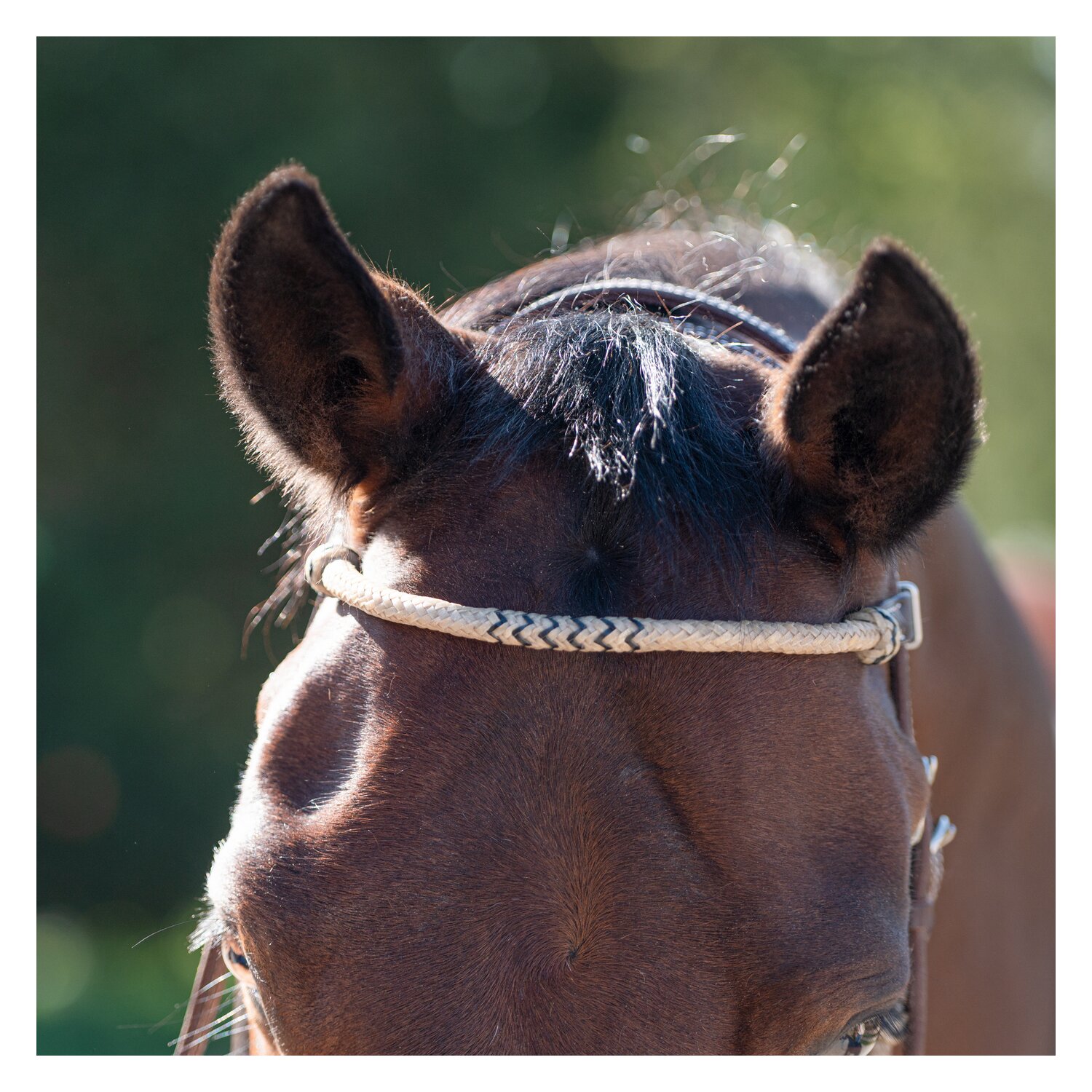 Passion 4Q Westerntrense – Ansicht 5