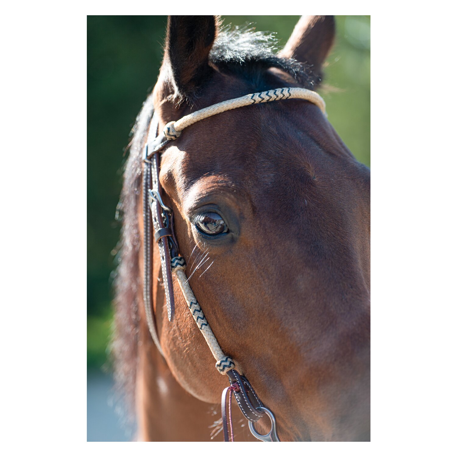 Passion 4Q Westerntrense – Ansicht 4