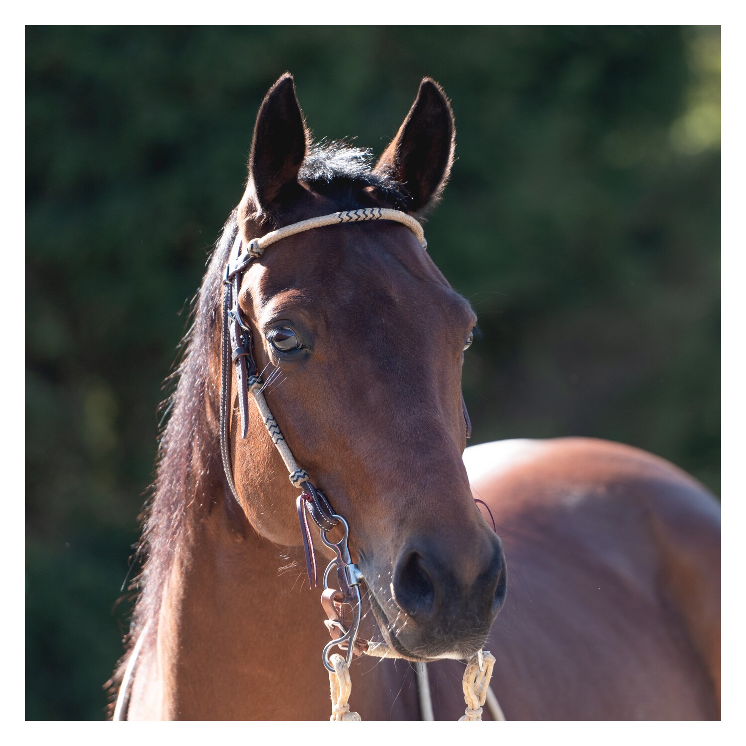 Passion 4Q Westerntrense – Ansicht 1