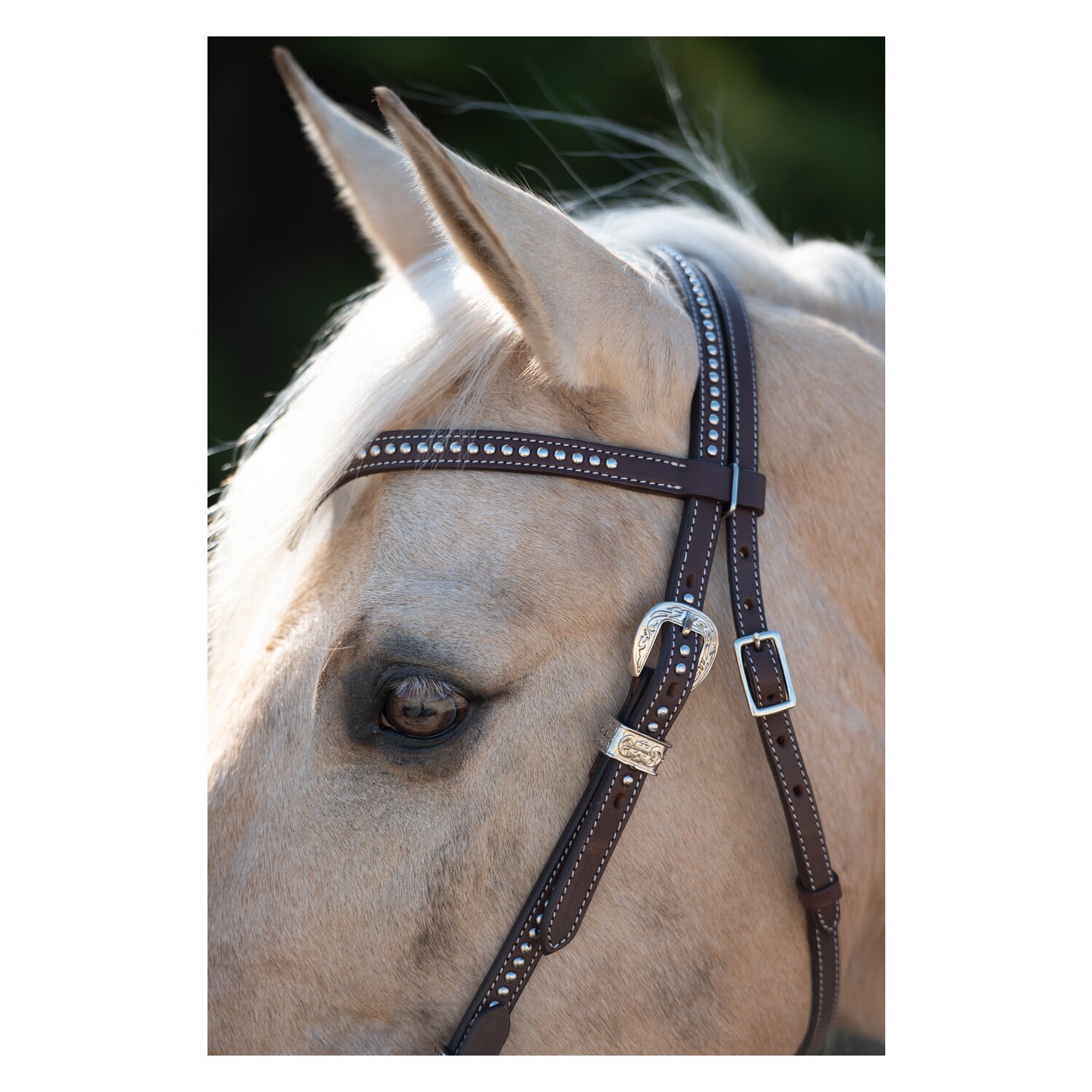 Passion 4Q Westerntrense – Ansicht 2