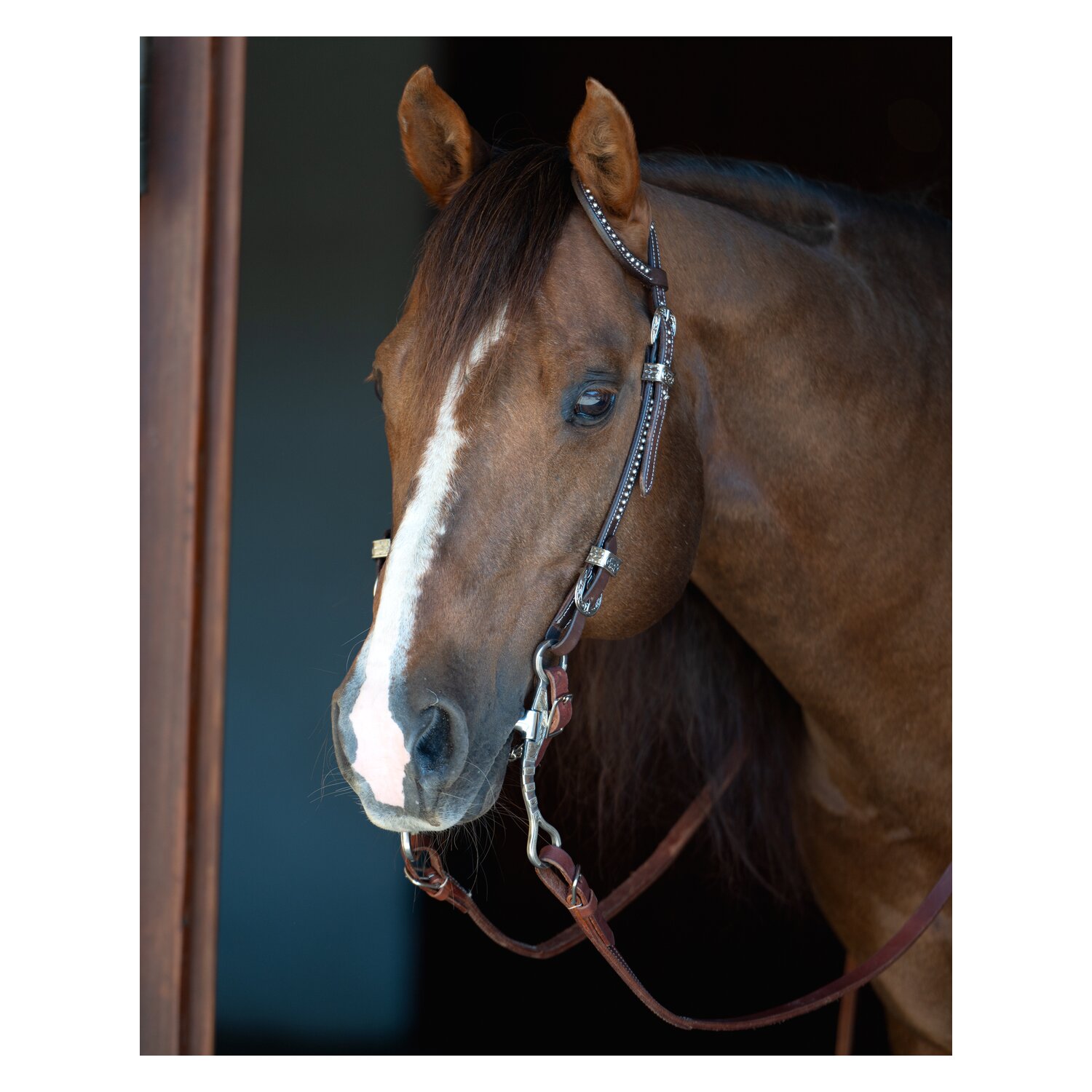 Passion 4Q Western-Einohrtrense mit Nieten – Ansicht 2