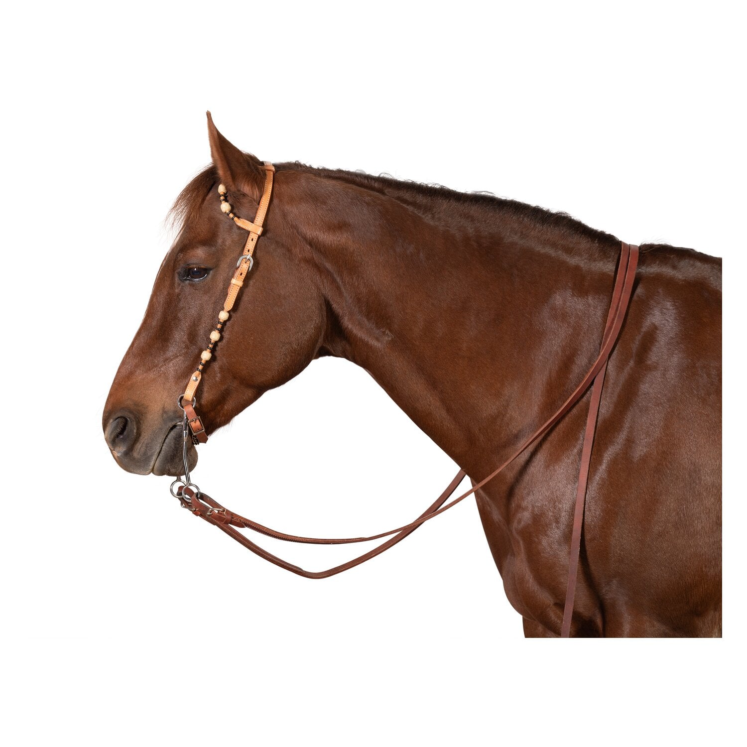 Passion 4Q Zweiohr-Westerntrense &ndash; Ansicht 2