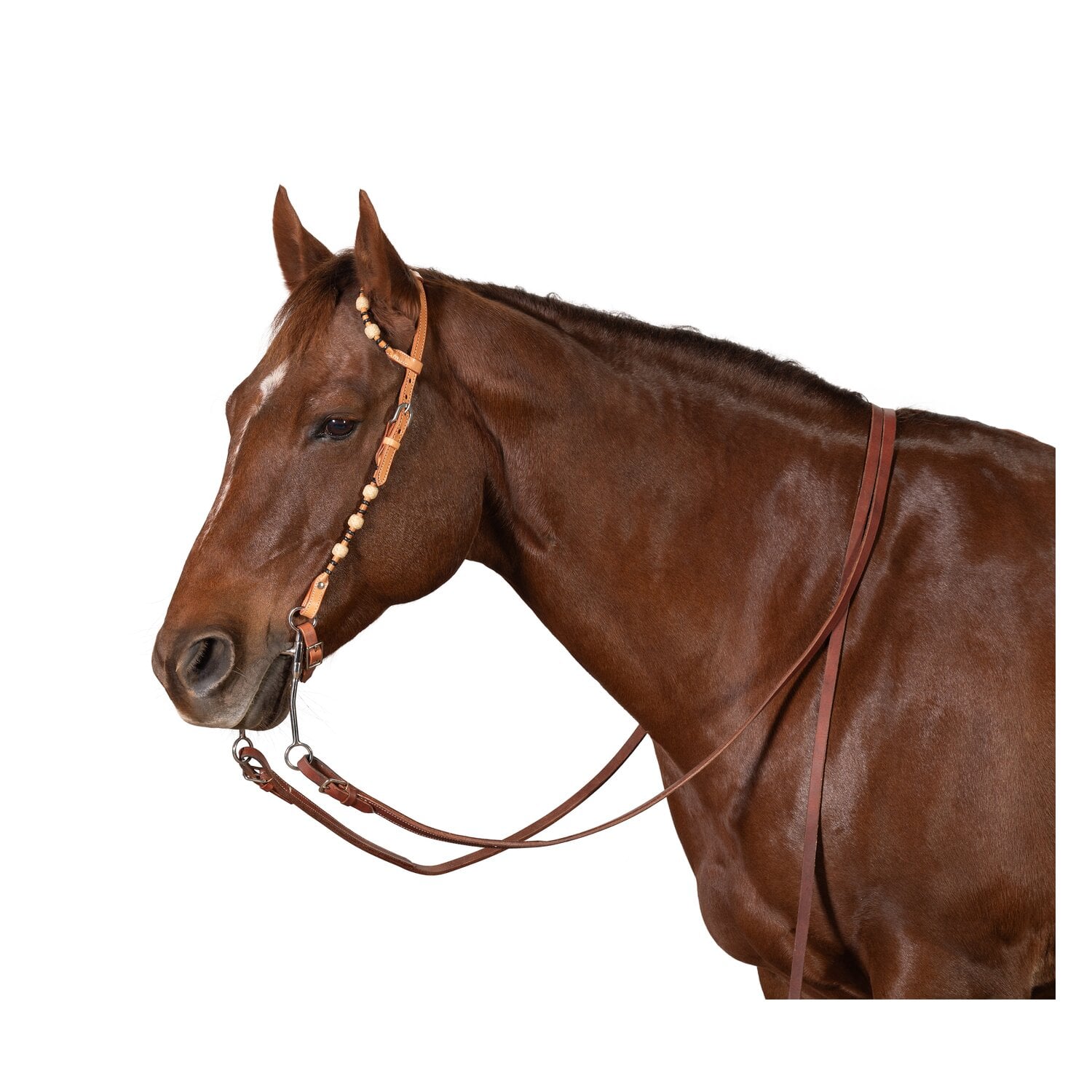 Passion 4Q Zweiohr-Westerntrense &ndash; Ansicht 3