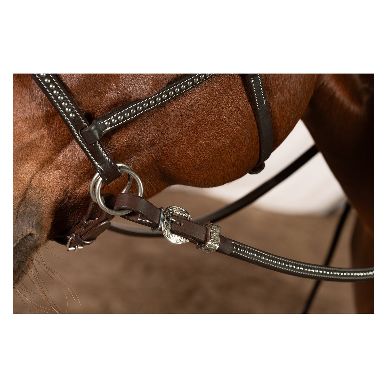 Passion 4Q Westernzügel &ndash; Ansicht 3