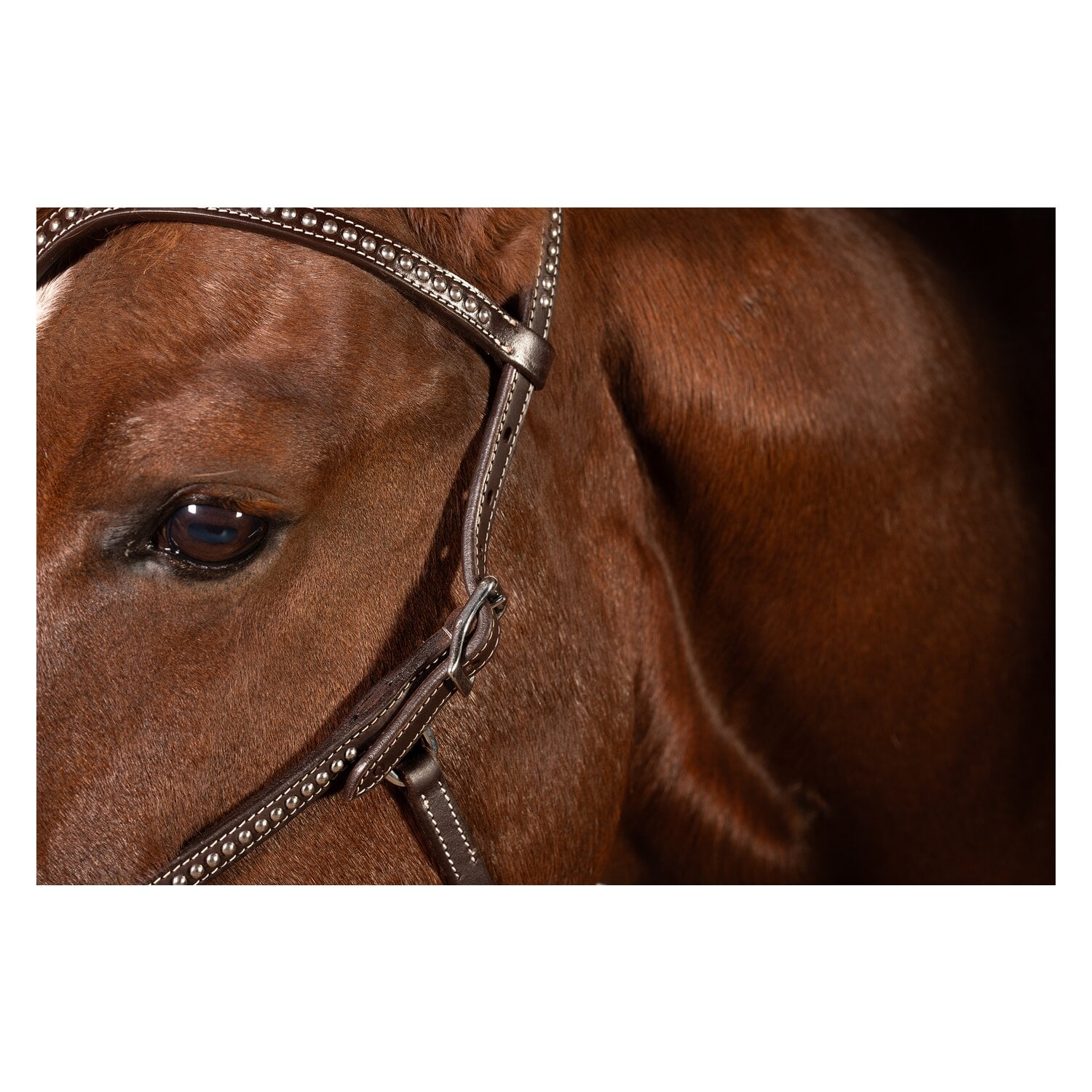 Passion 4Q Sidepull &ndash; Ansicht 2