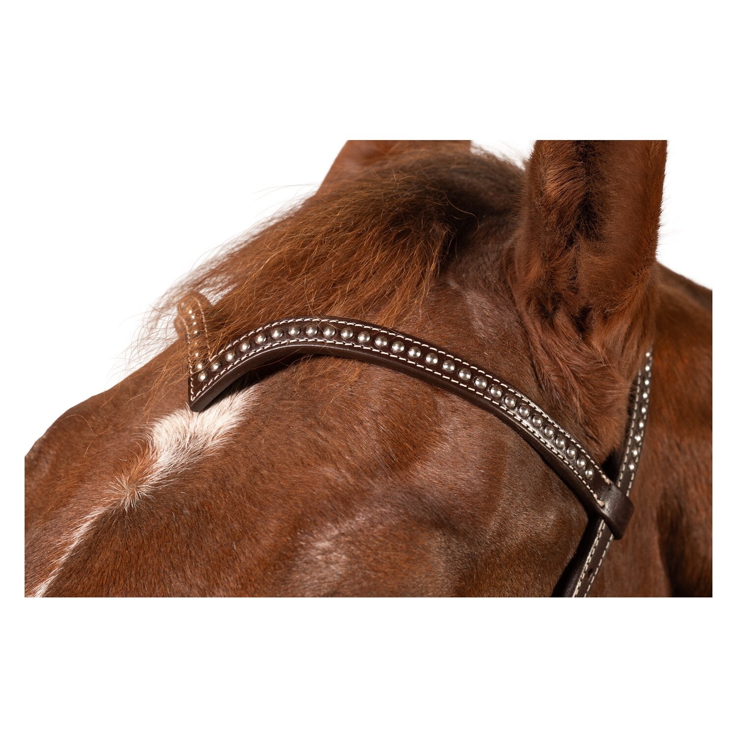 Passion 4Q Sidepull &ndash; Ansicht 3