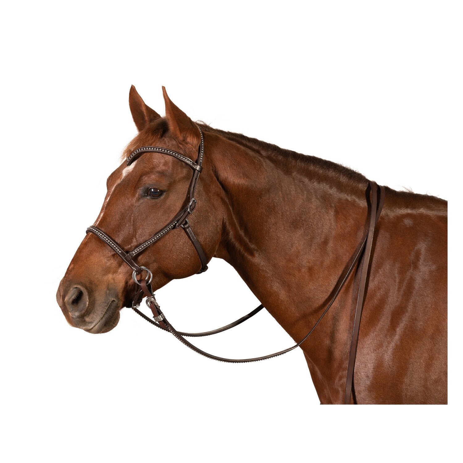 Passion 4Q Sidepull &ndash; Ansicht 1