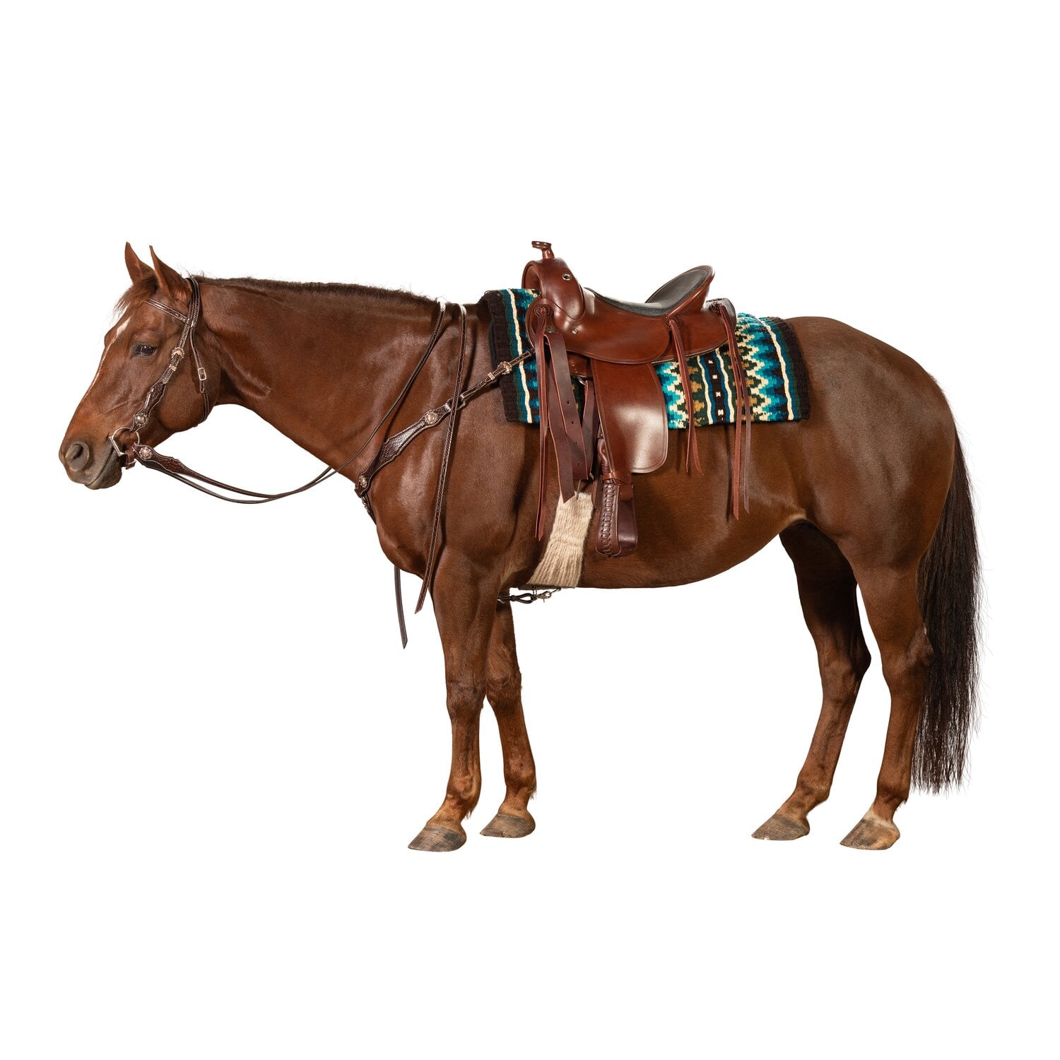 Passion 4Q Westerntrense &ndash; Ansicht 2