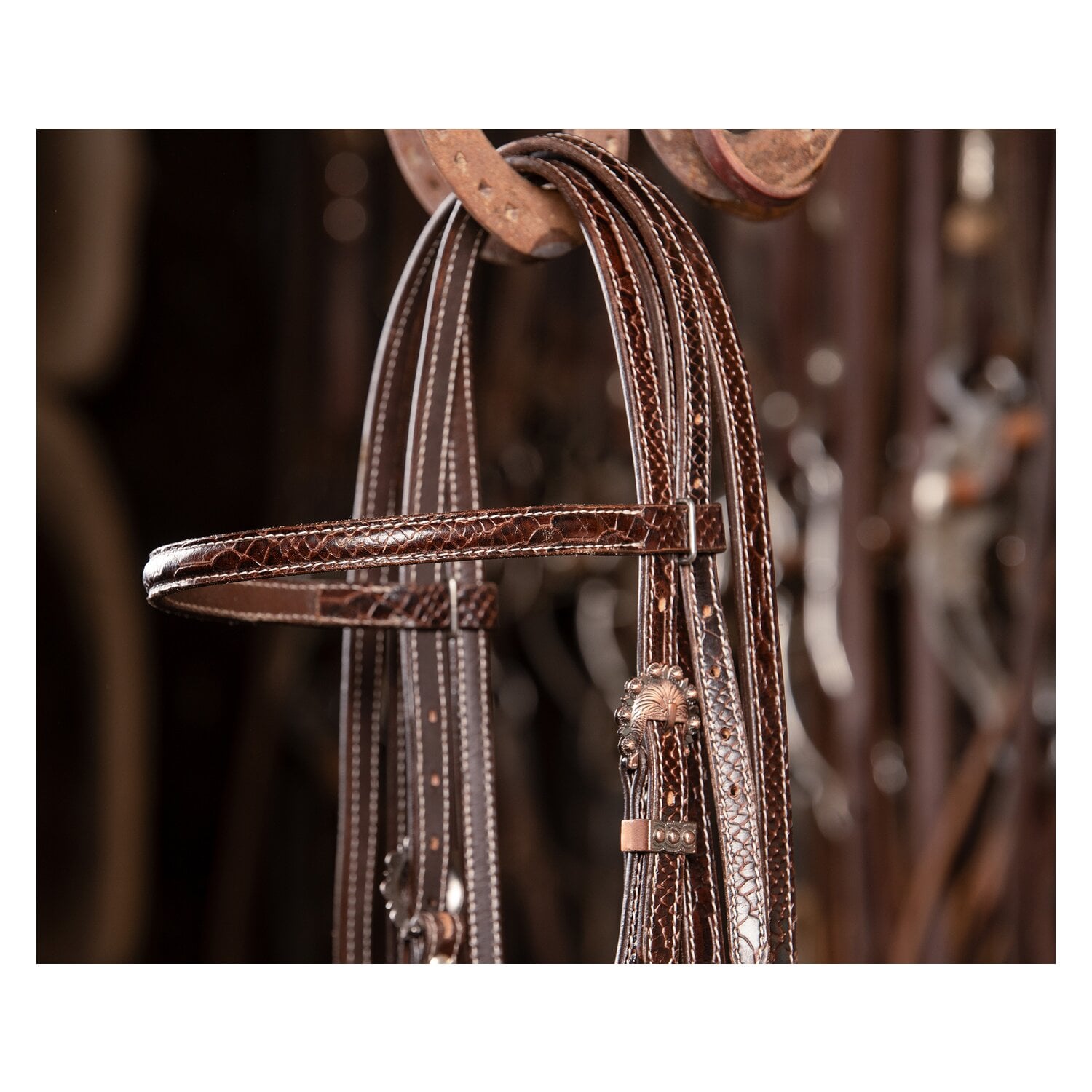 Passion 4Q Westerntrense &ndash; Ansicht 9