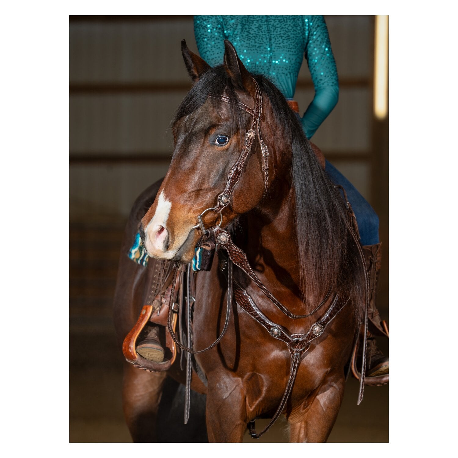 Passion 4Q Westerntrense &ndash; Ansicht 4