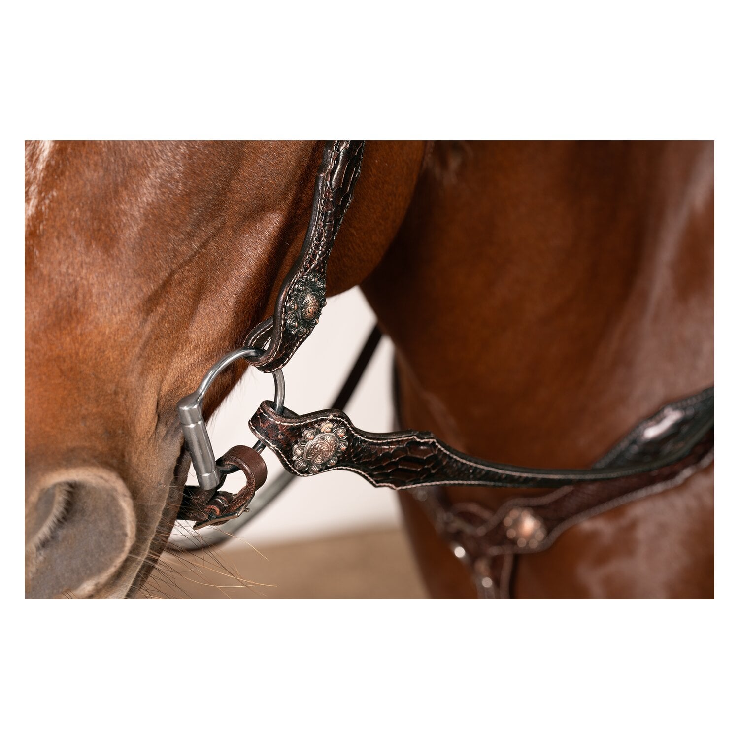 Passion 4Q Westerntrense &ndash; Ansicht 3