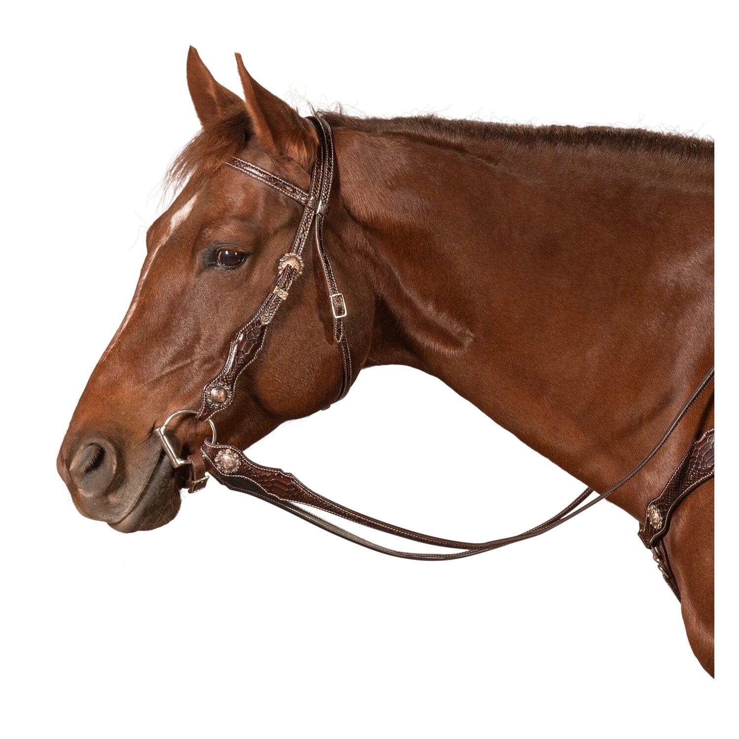 Passion 4Q Westerntrense &ndash; Ansicht 1