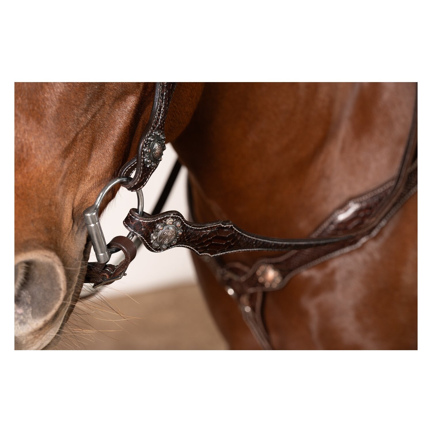 Passion 4Q Western-Vorderzeug &ndash; Ansicht 4