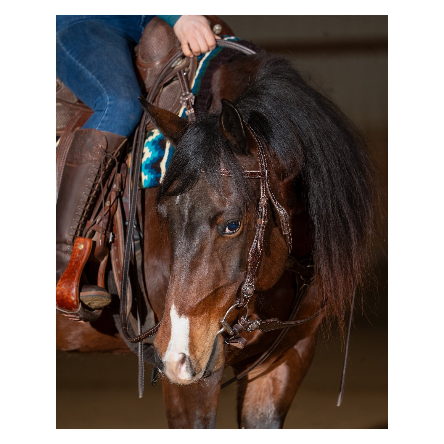 Passion 4Q Western-Vorderzeug &ndash; Ansicht 6