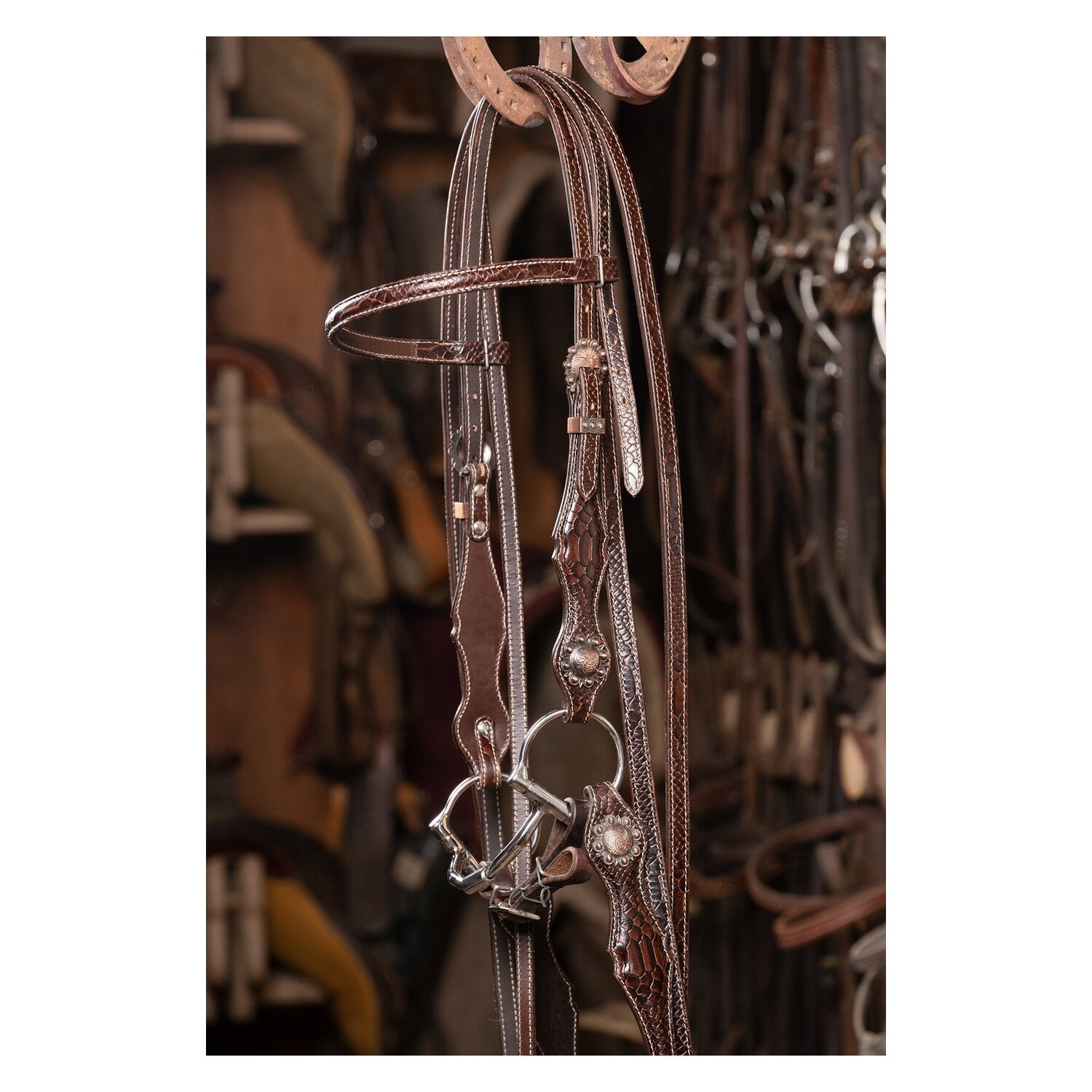 Passion 4Q Westernzügel &ndash; Ansicht 5
